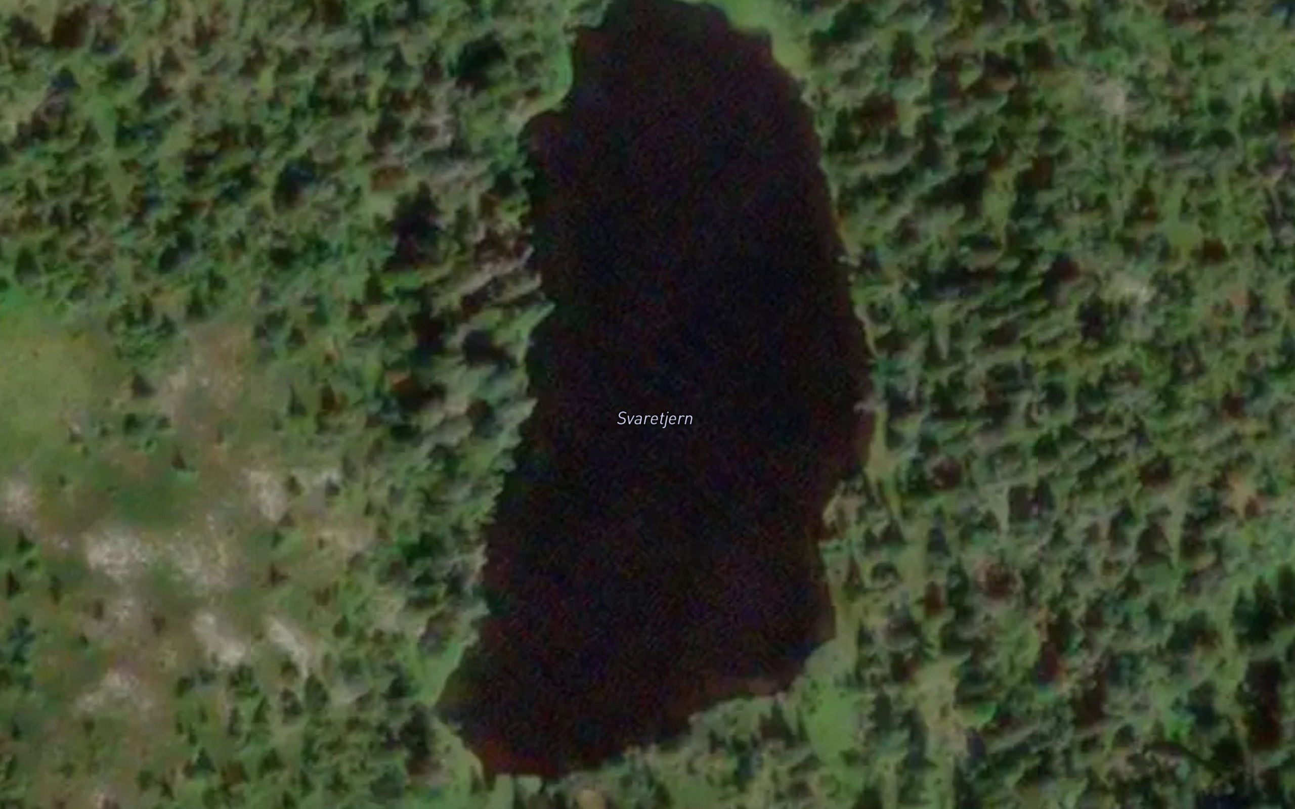 Svaretjern