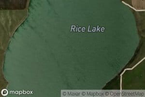 Rice Lake