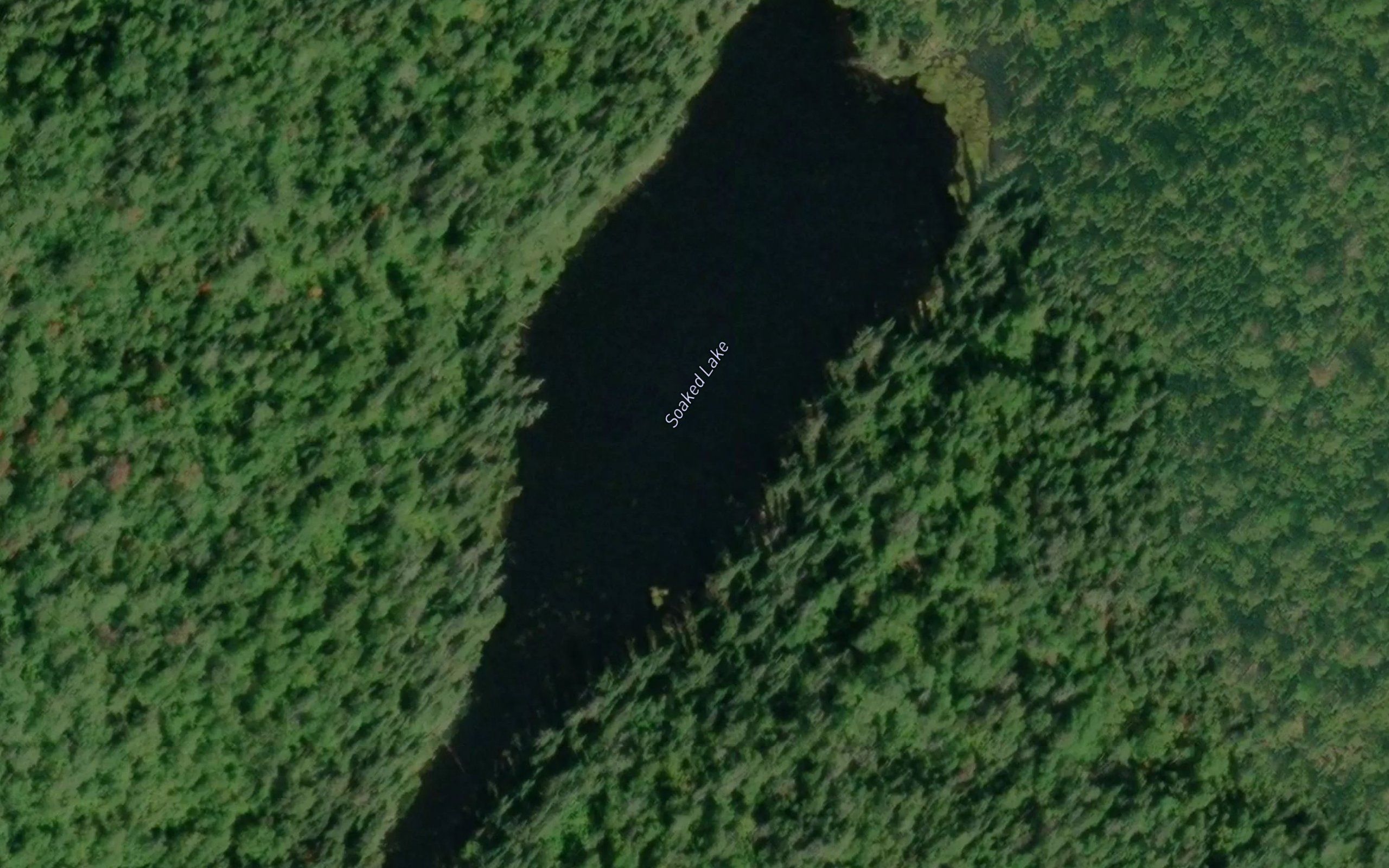 Soaked Lake