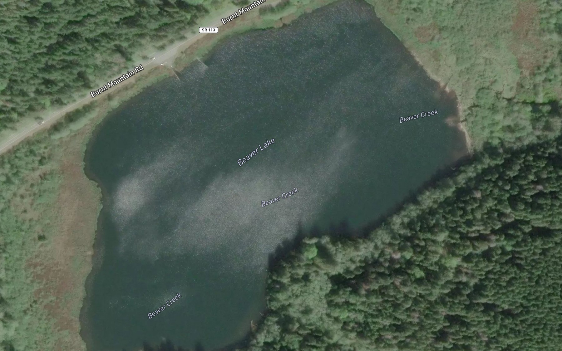 Satellite map of the Beaver Lake