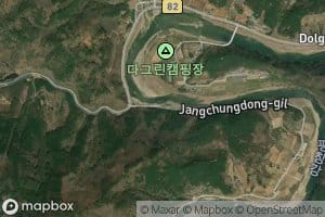 Changch'ung-yaksut'o