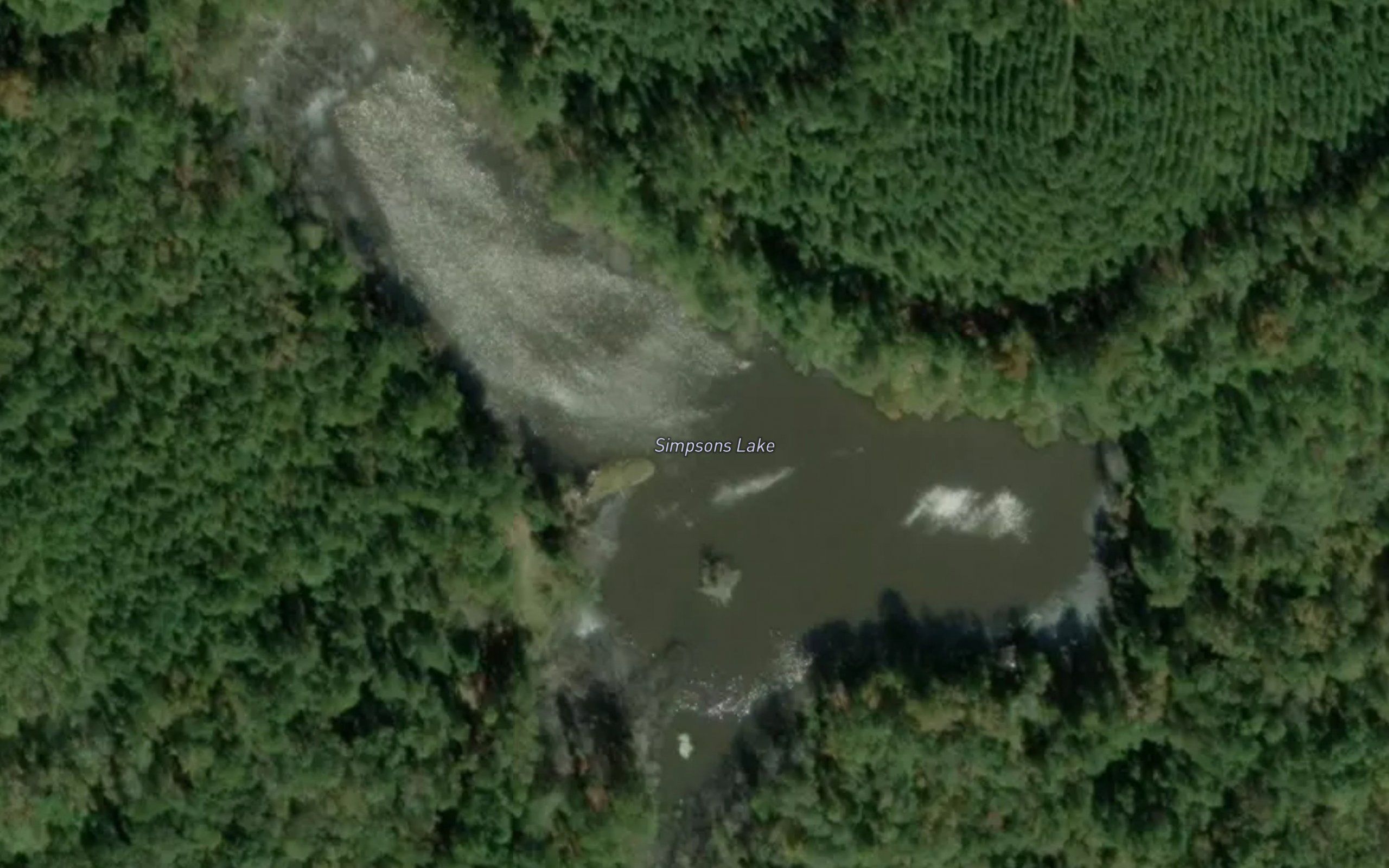Simpsons Lake