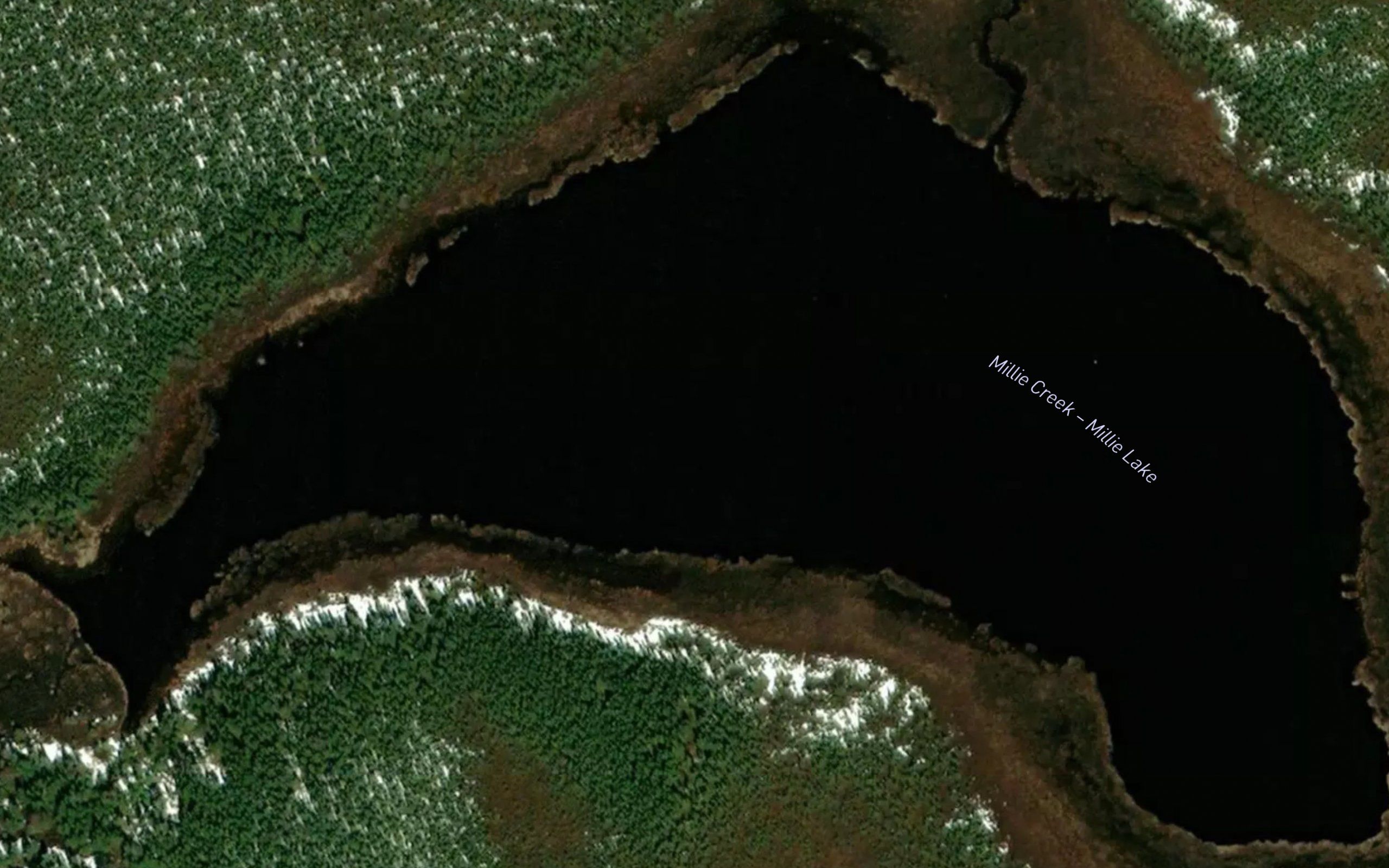 Millie Lake