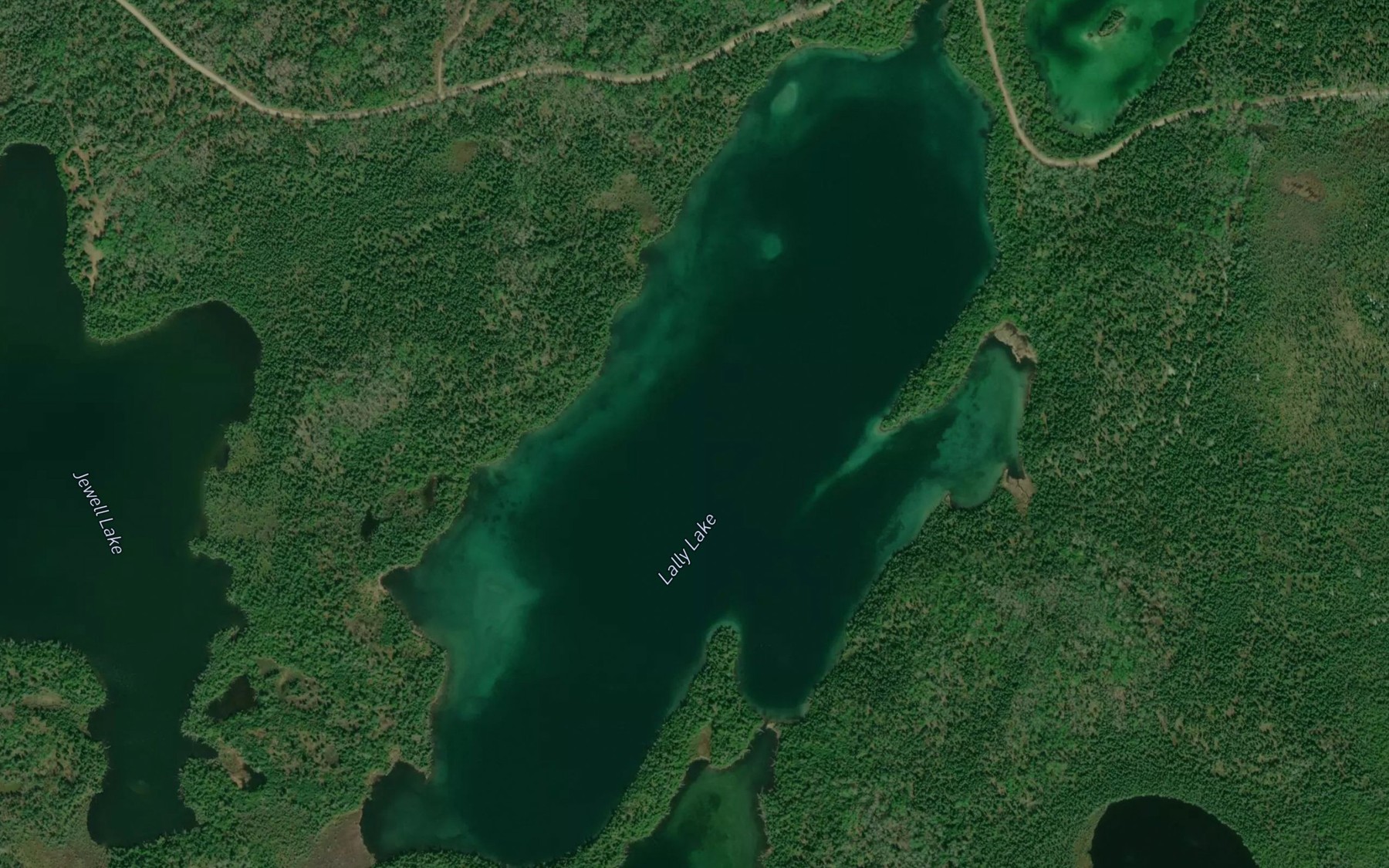 Satellite map of the Lally Lake