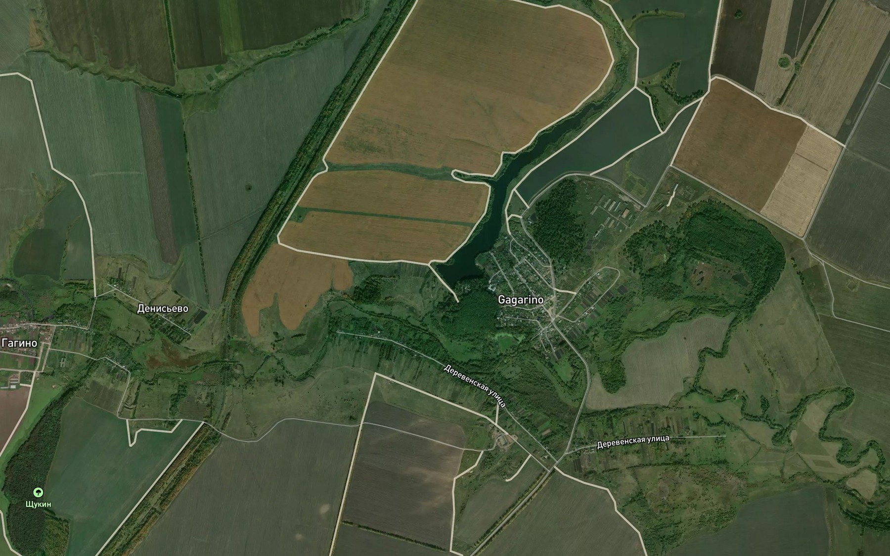 Satellite map of the Rudenki