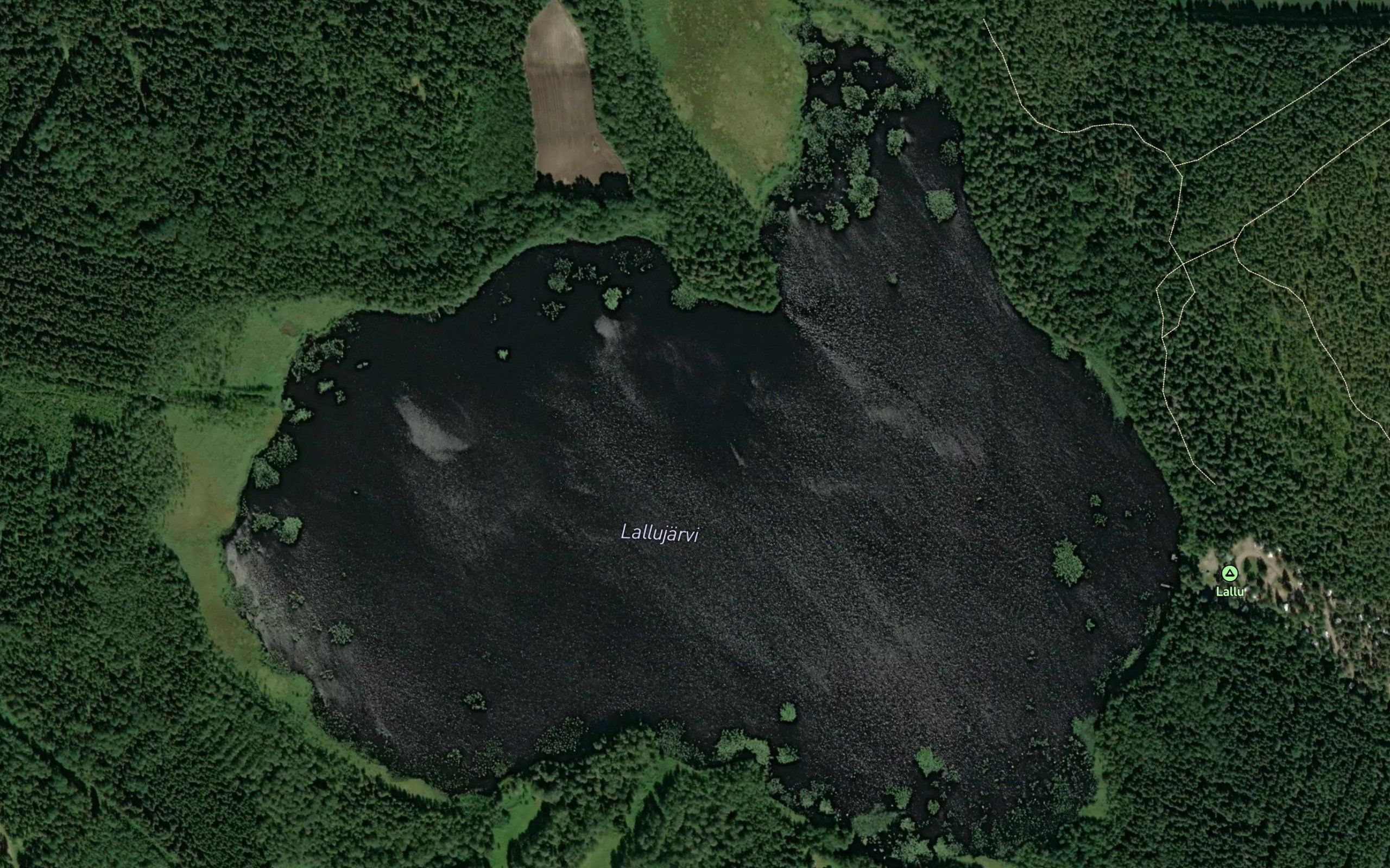 Lallujarvi