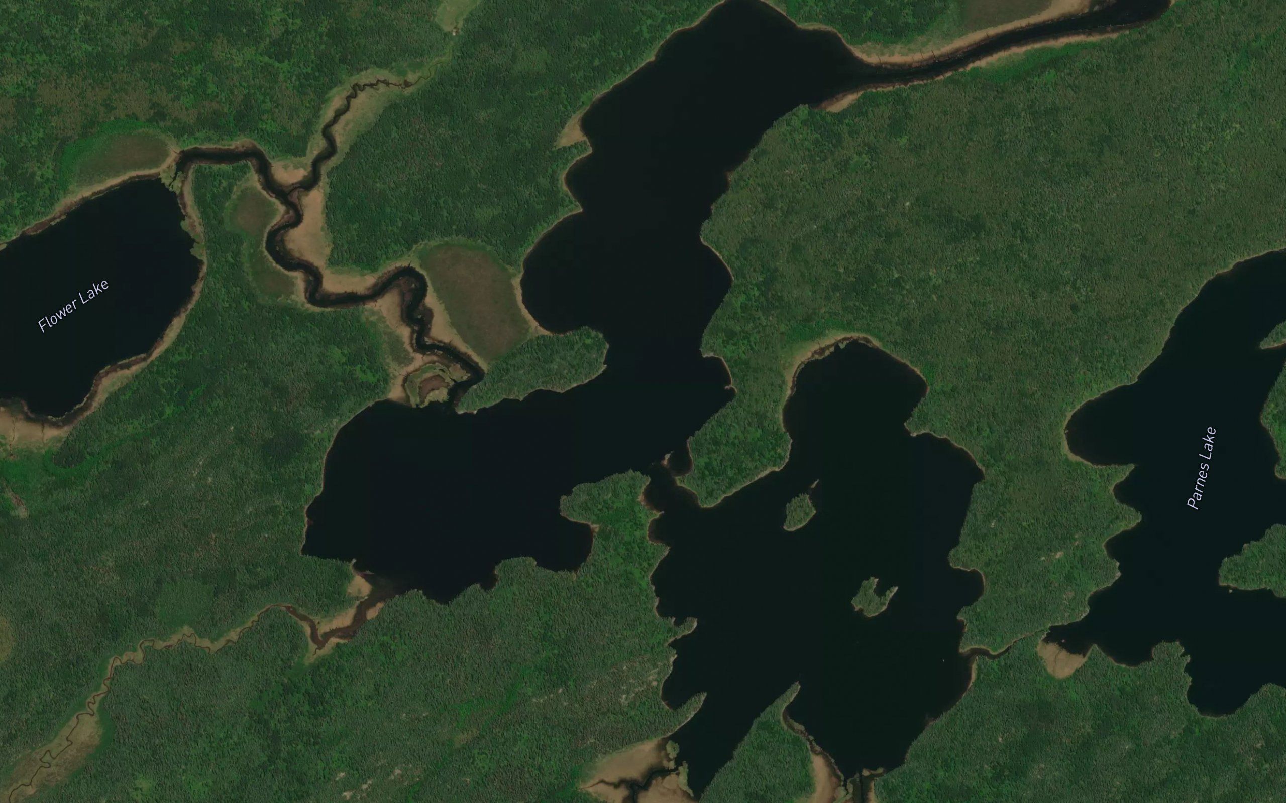 Twinflower Lake