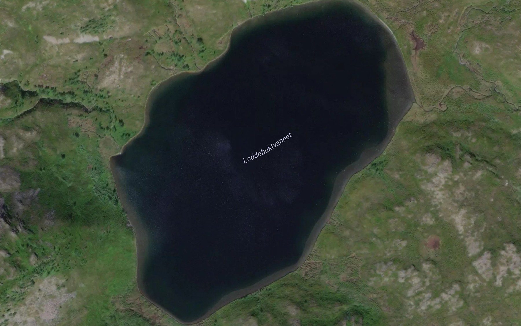 Satellite map of the Loddebuktvatnet