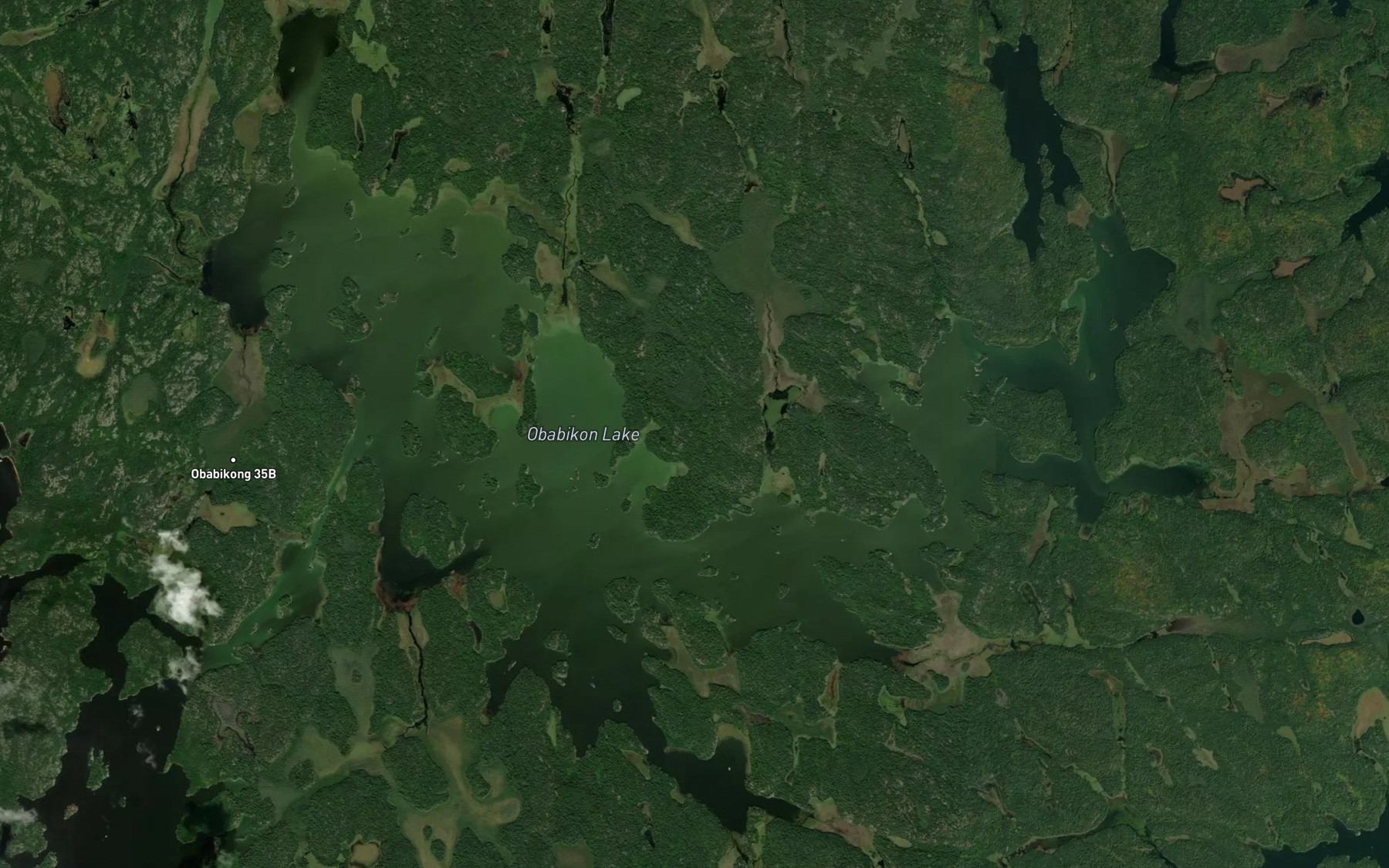 Satellite map of the Obabikon Lake