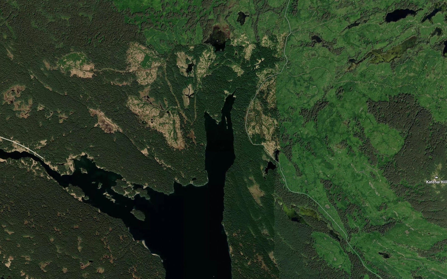 Satellite map of the Back Bay