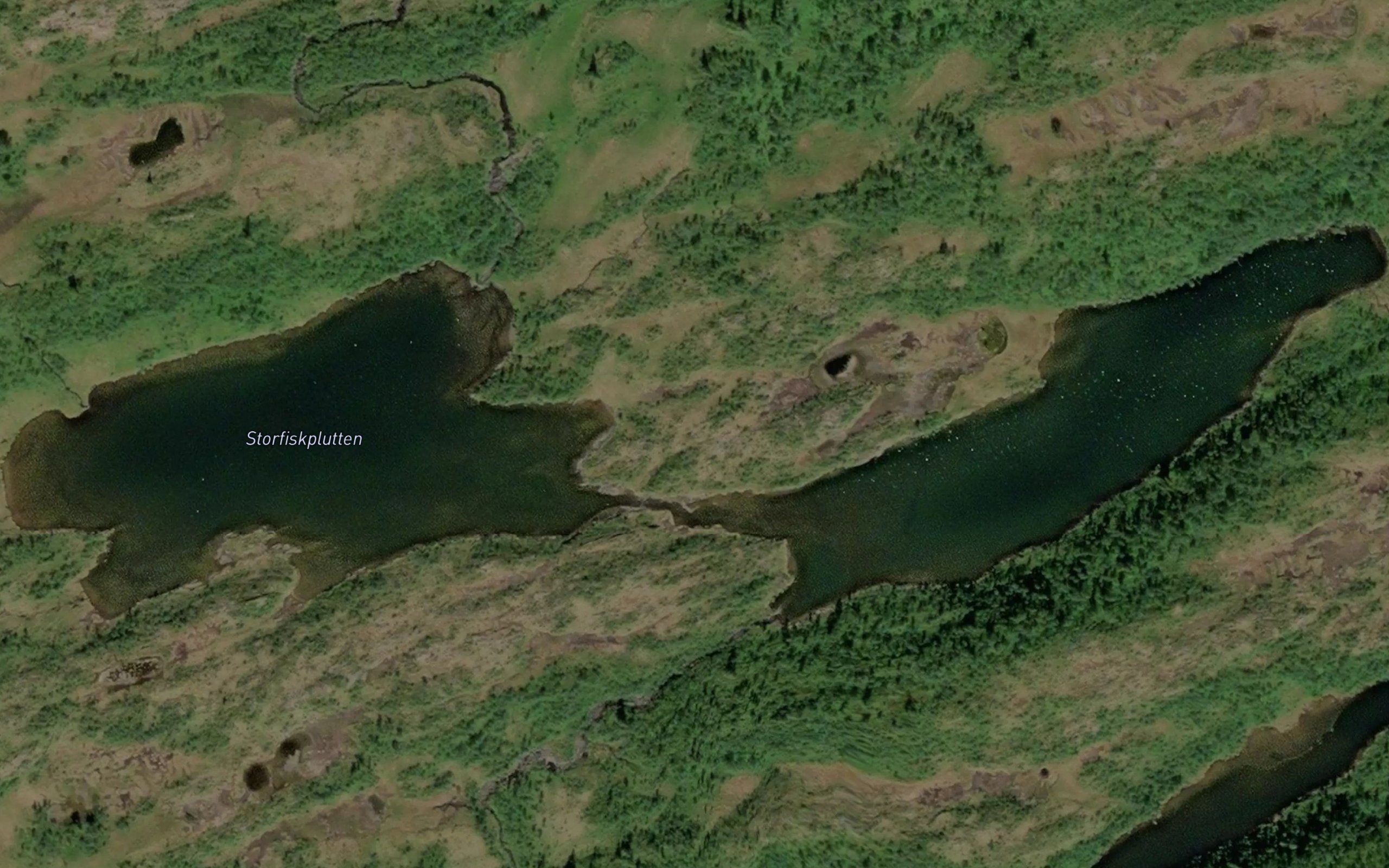 Storfisktjornin
