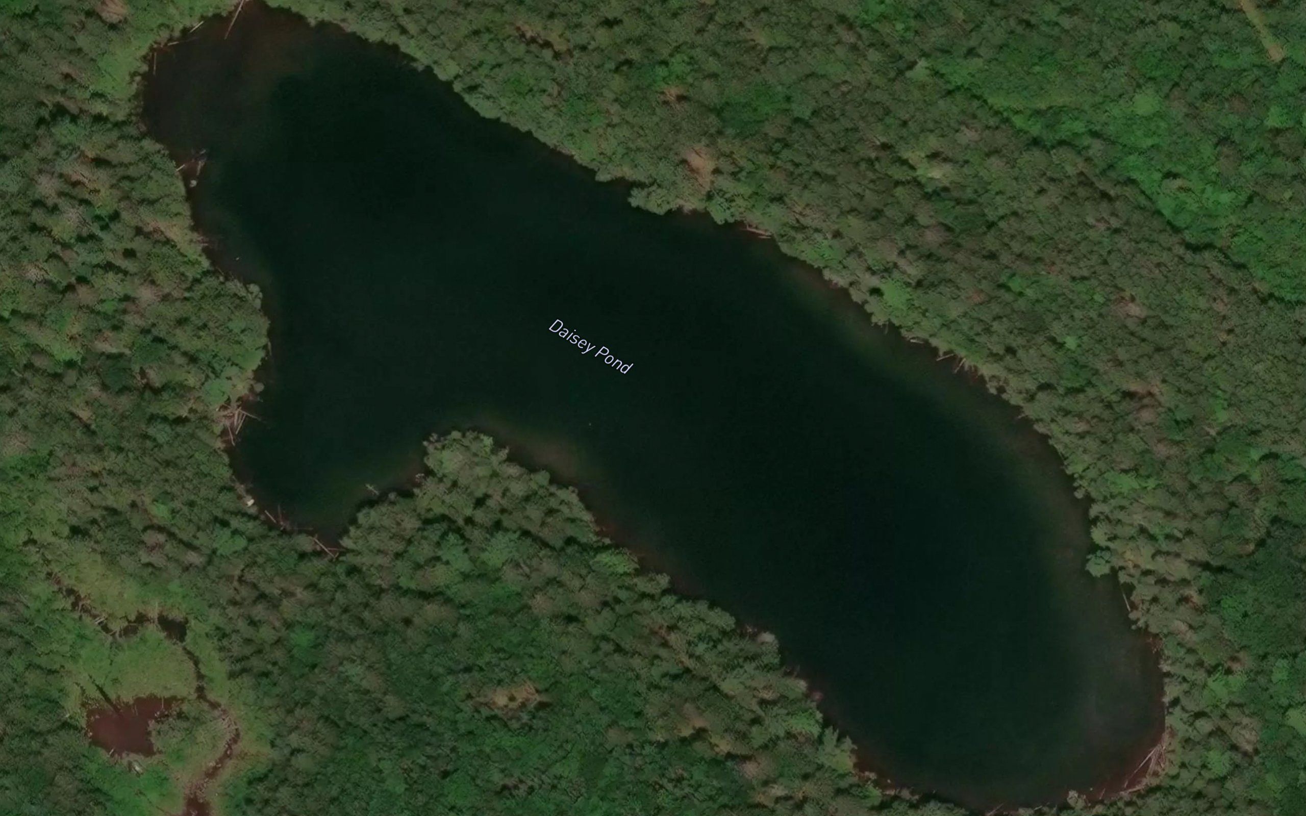 Daisey Pond