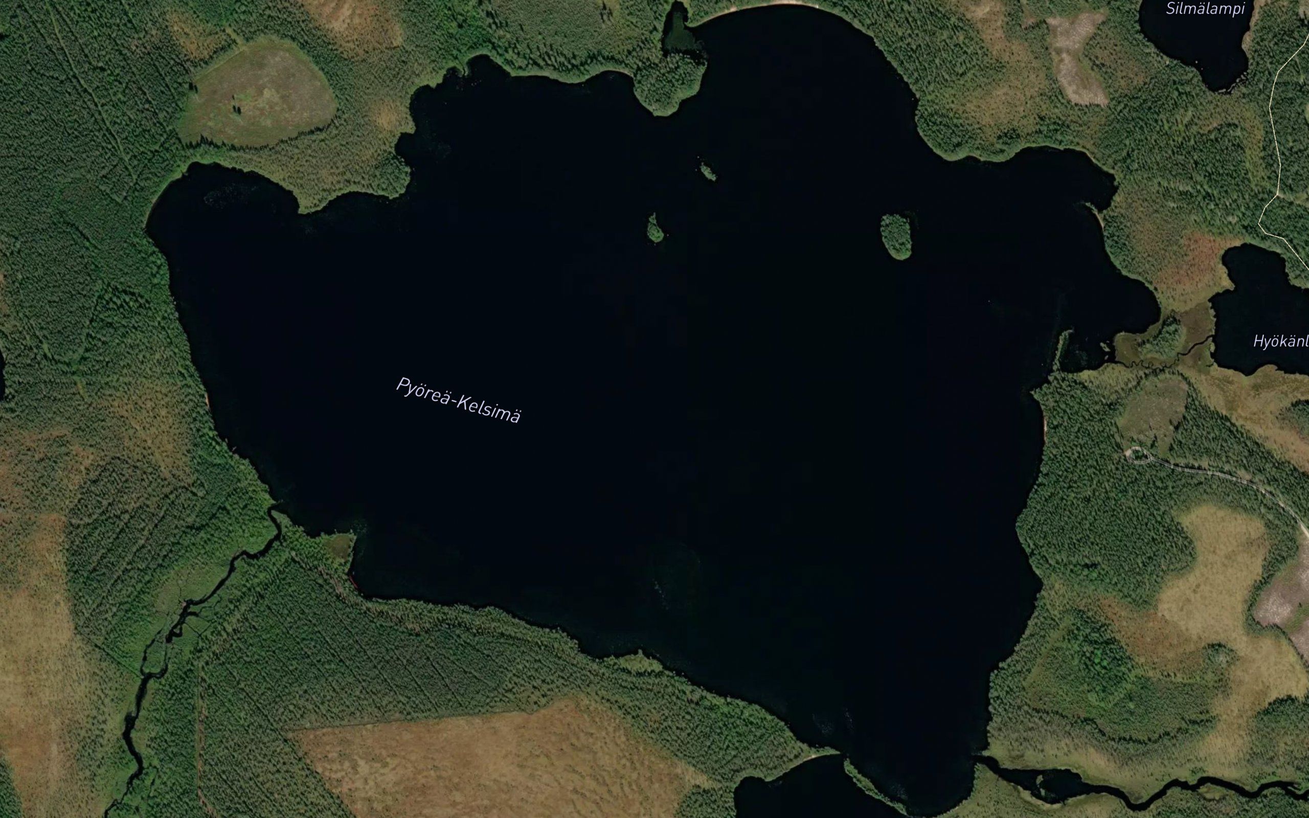 Pyora Kelsima