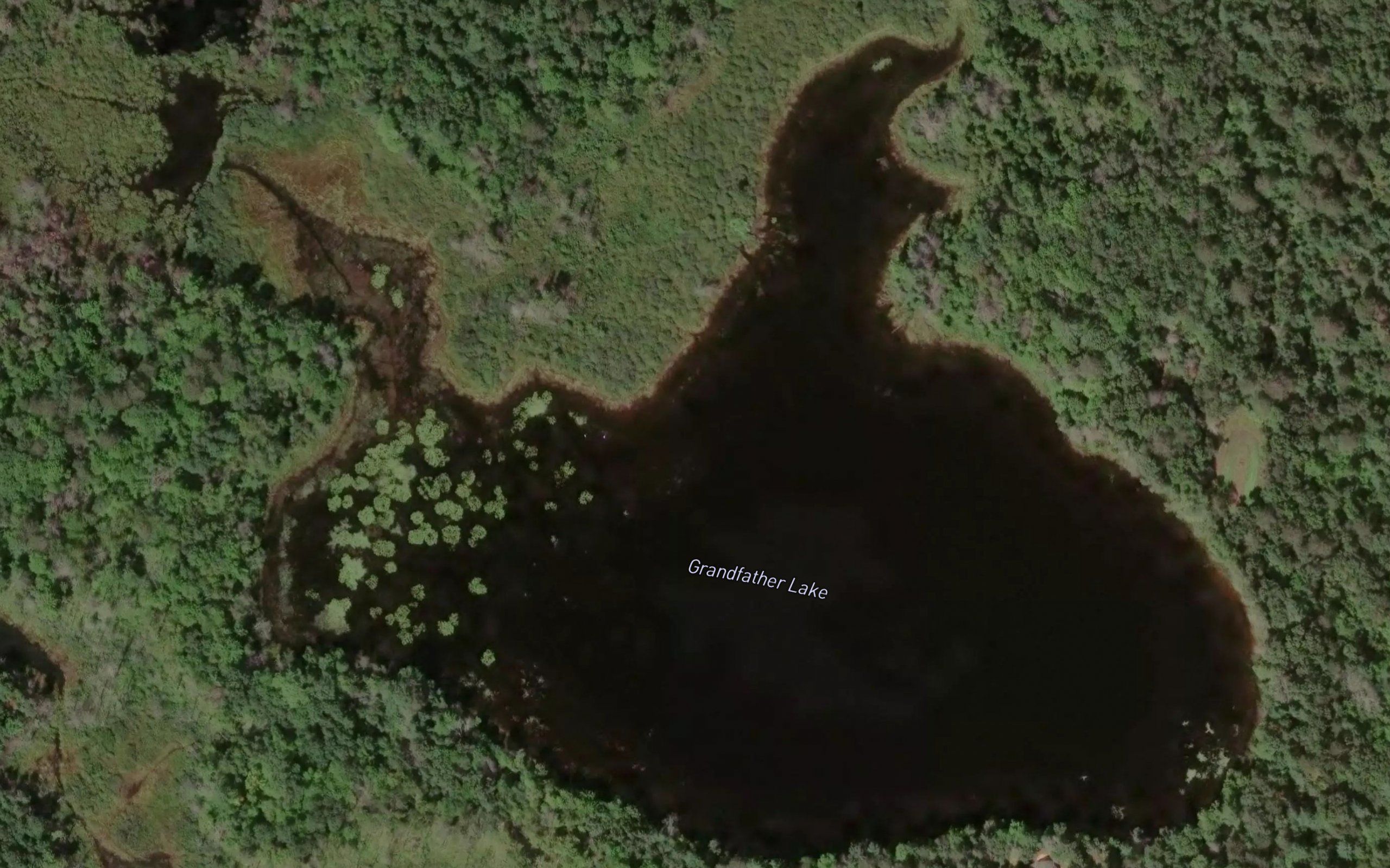Grandfather Lake