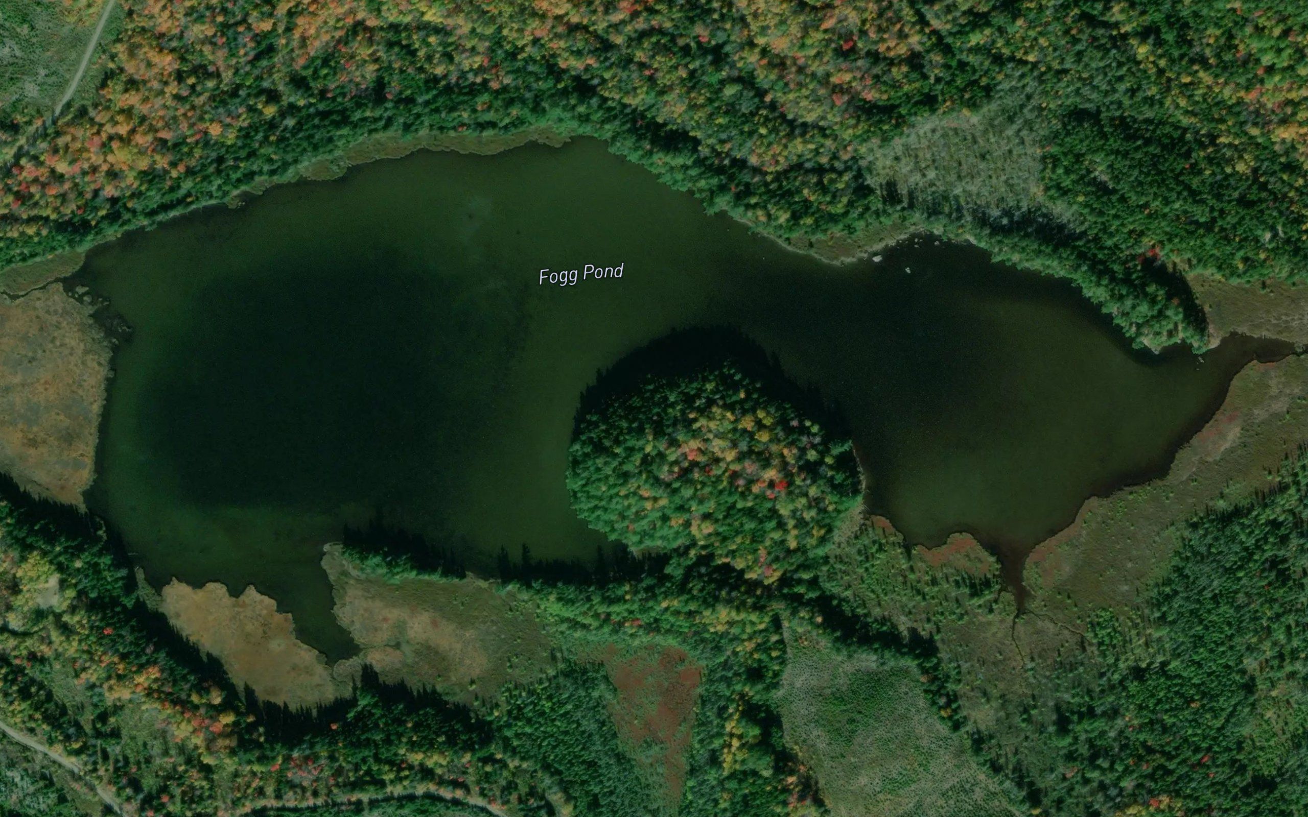 Fogg Pond