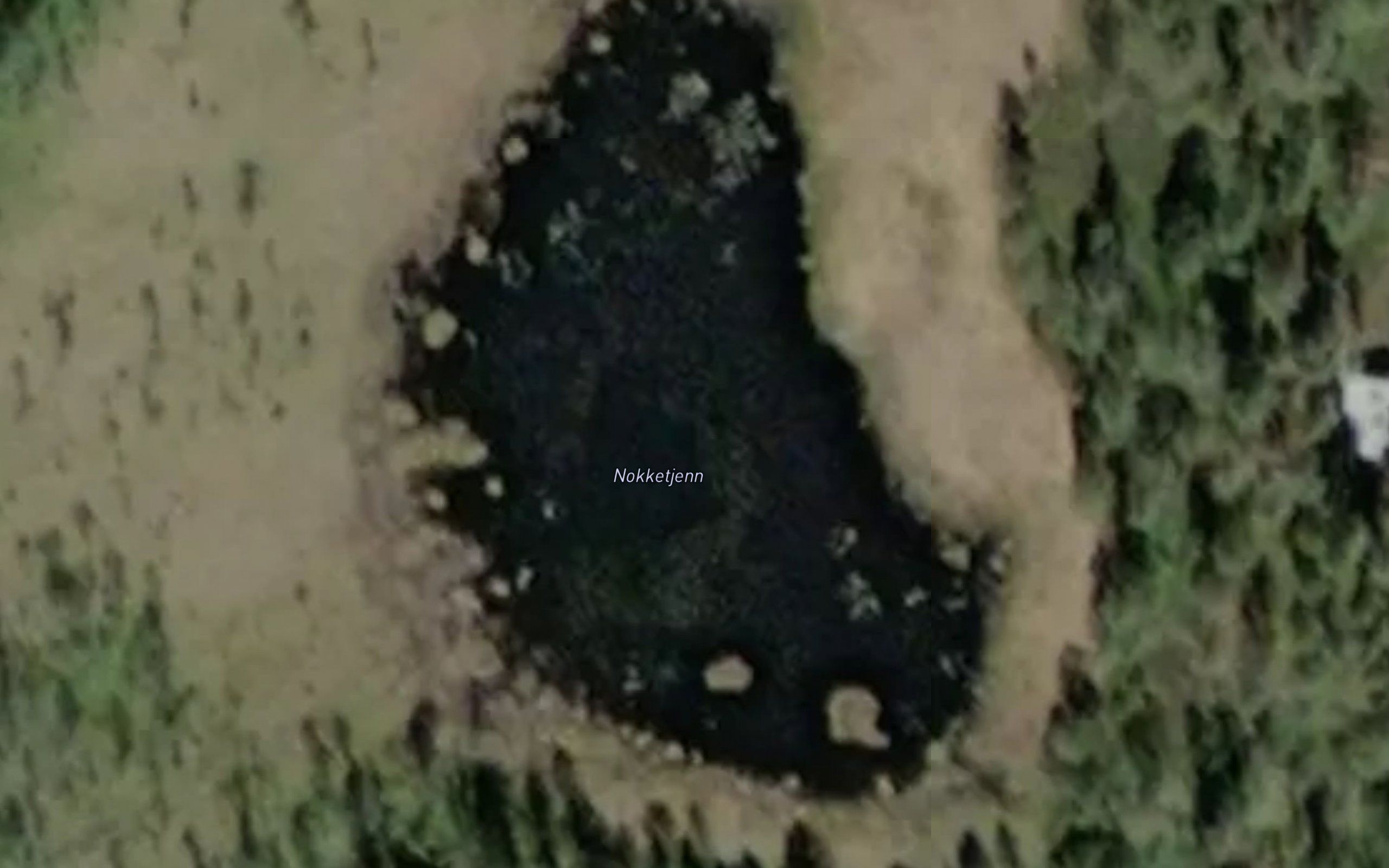 Nokketjern