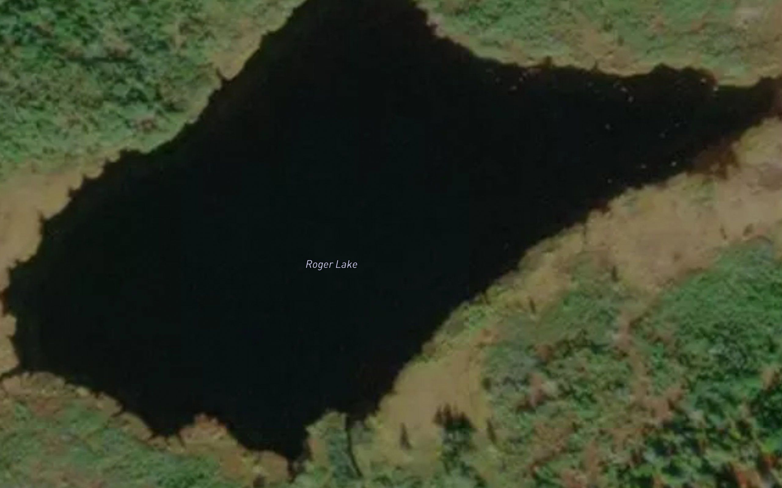 Roger Lake