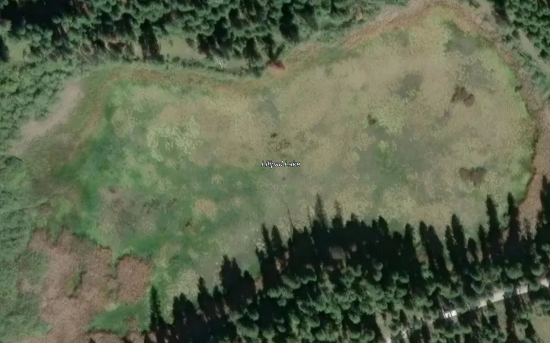 Satellite map of the Lilypad Lake