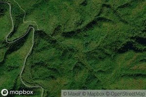 Deer Camp Branch