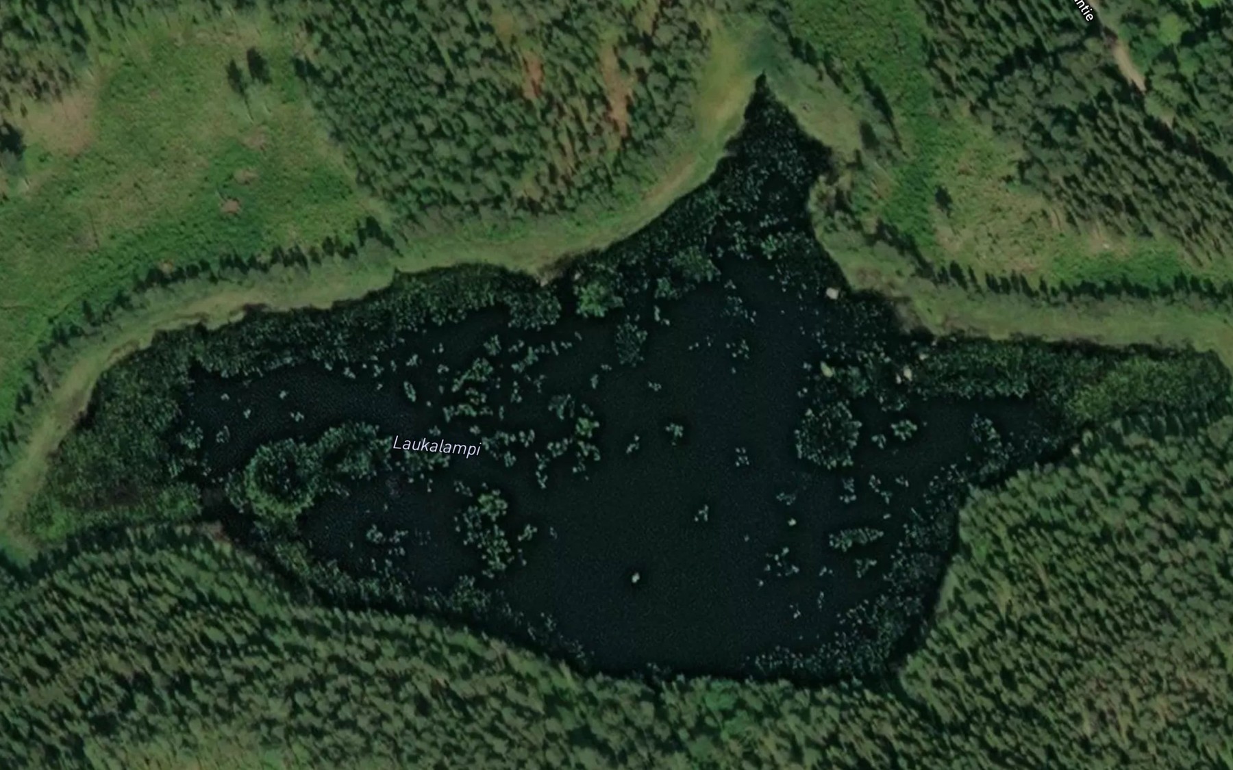 Satellite map of the Laukalampi