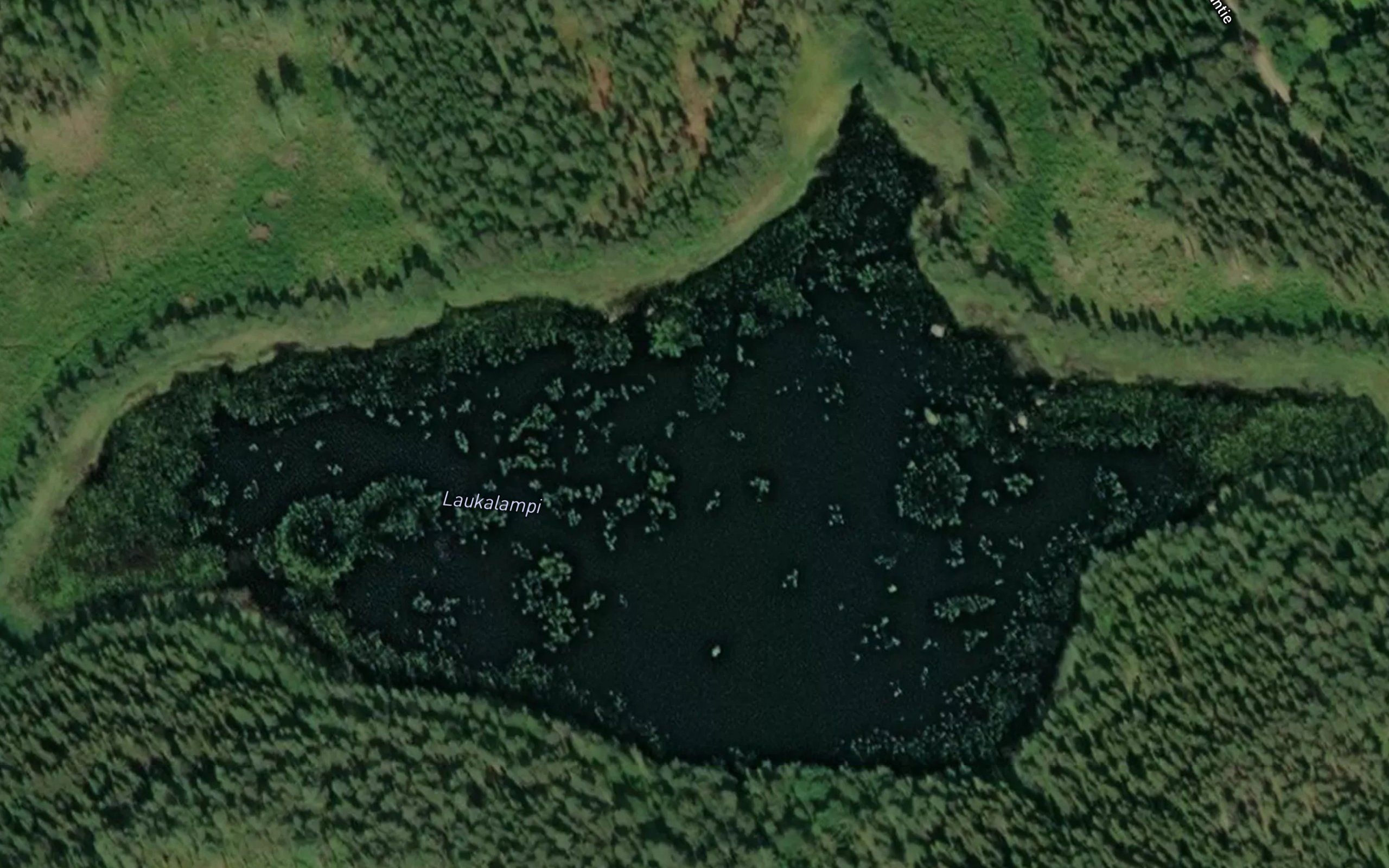 Laukalampi