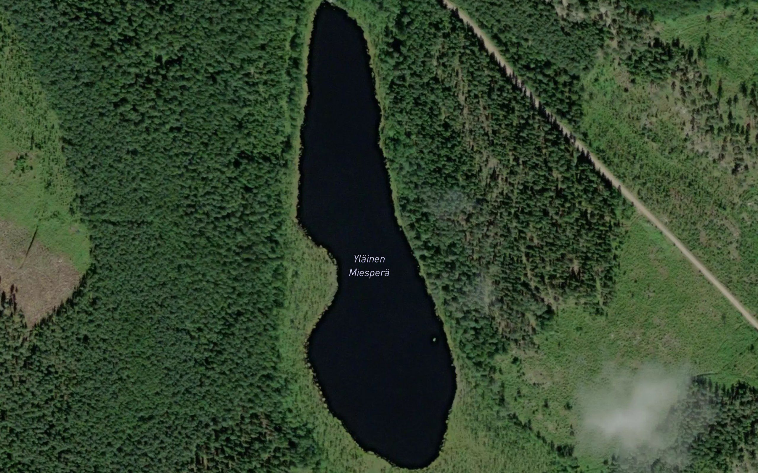 Ylainen Miespera