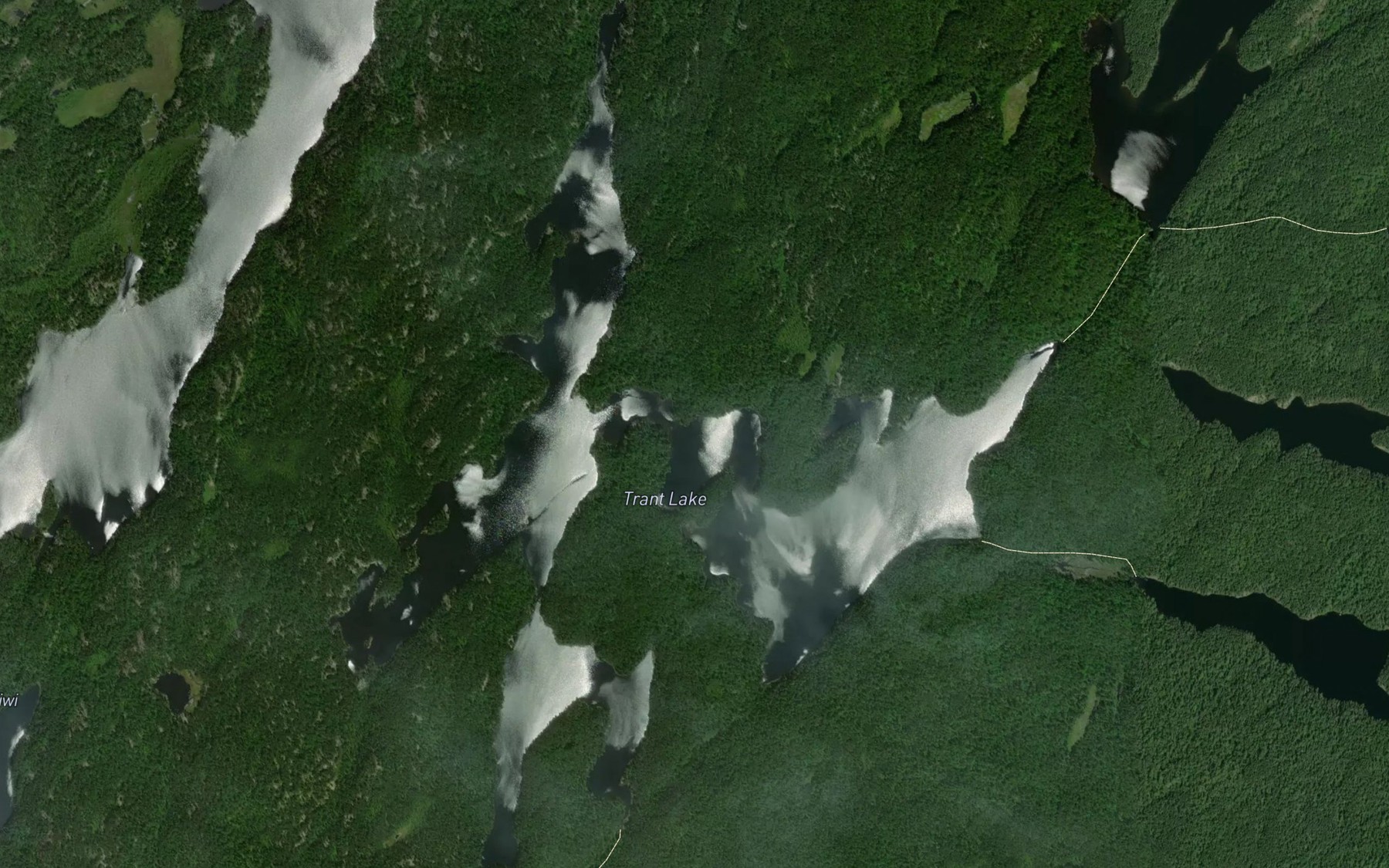Satellite map of the Trant Lake