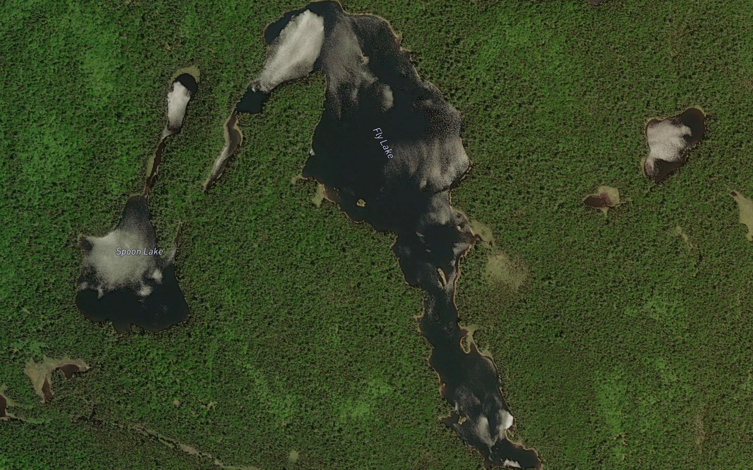 Fly Lake