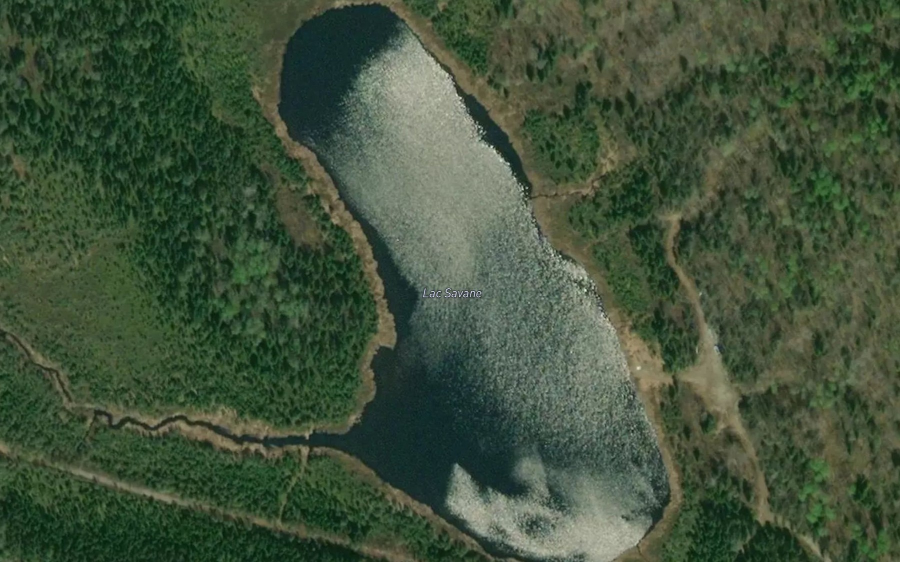 Satellite map of the Lac Savane