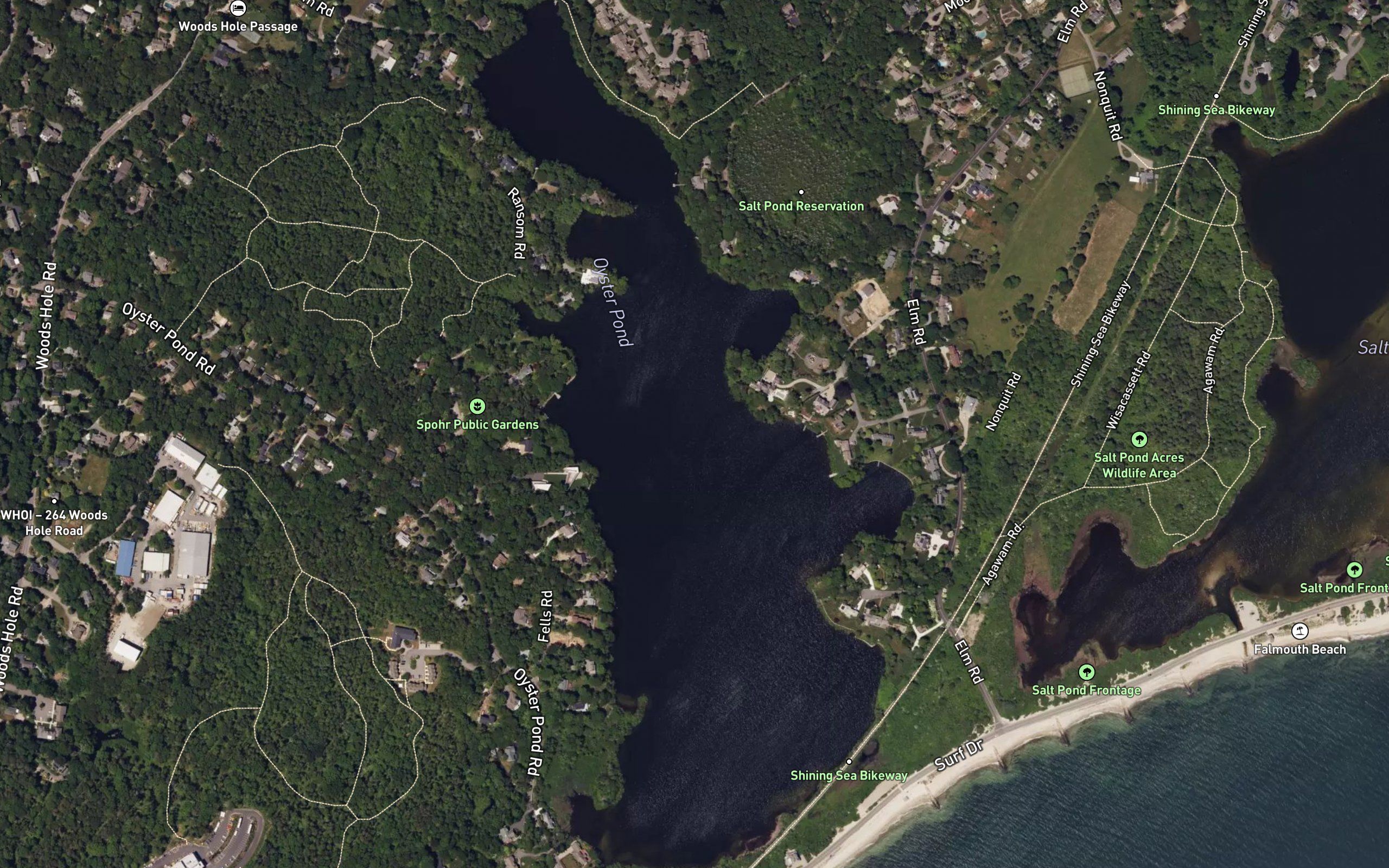 Oyster Pond