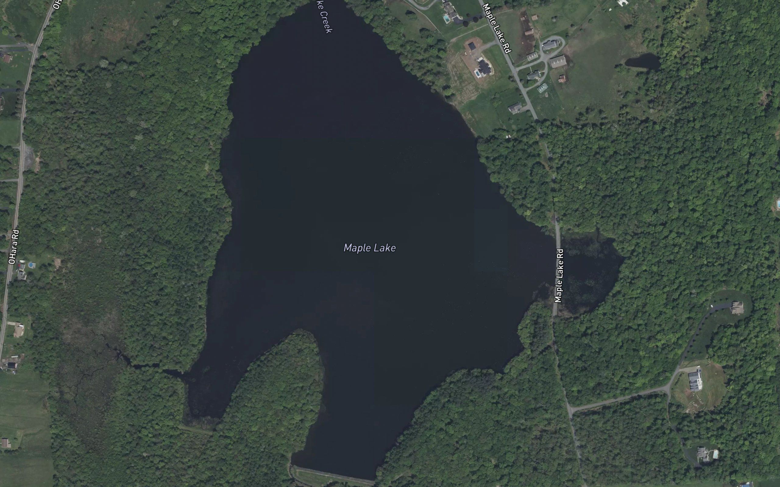 Maple Lake