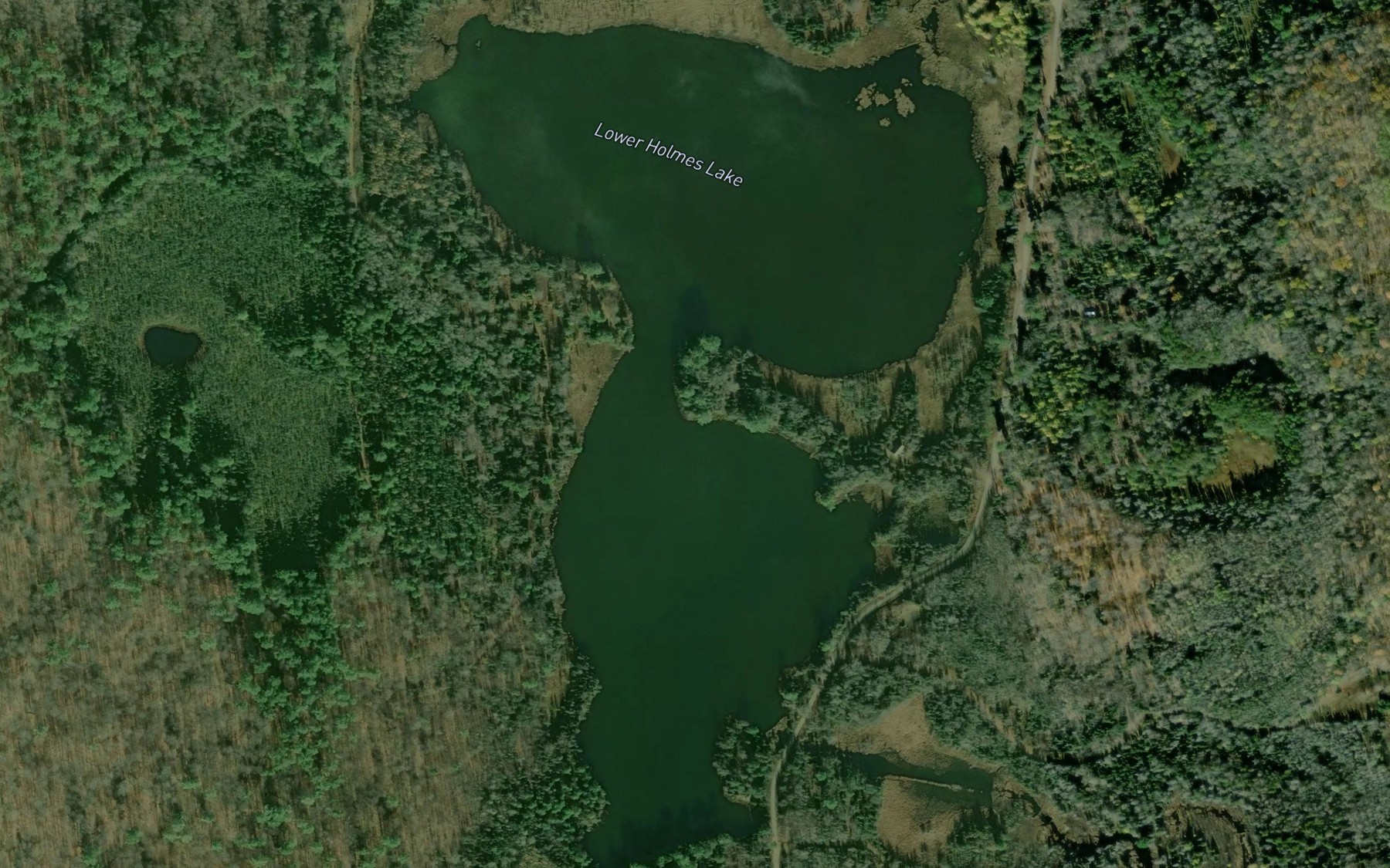 Satellite map of the Lower Holmes Lake