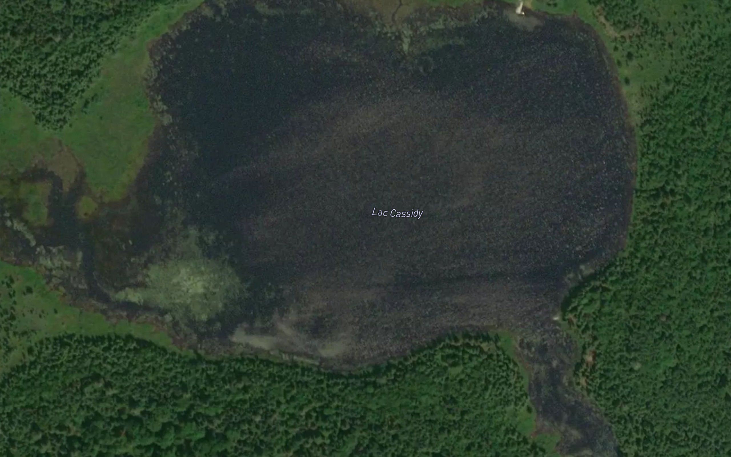 Lac Cassidy