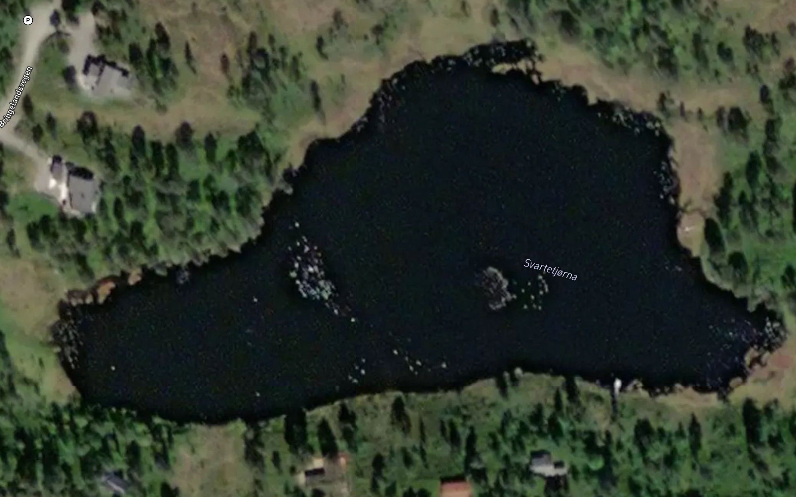 Svartetjorne
