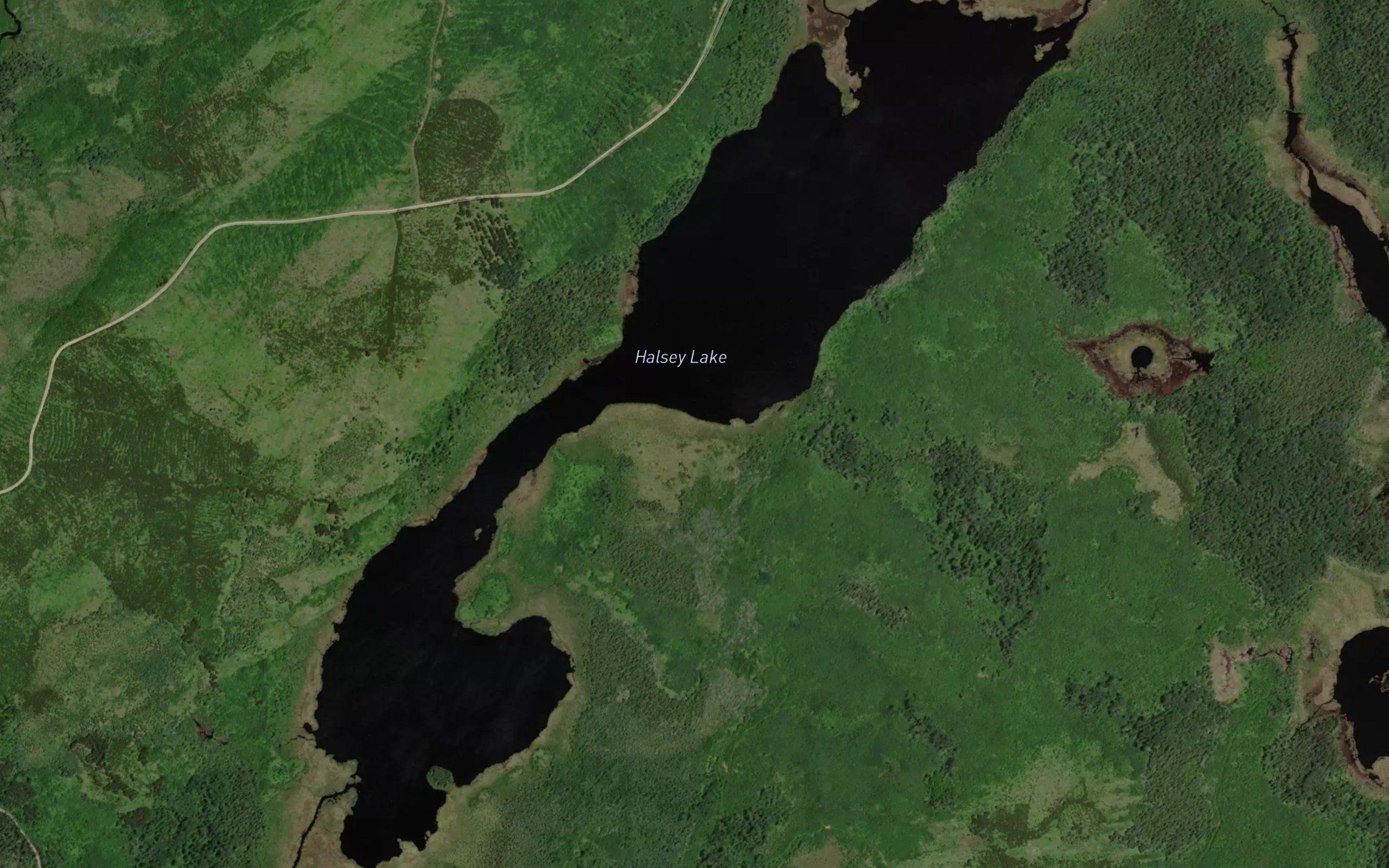 Halsey Lake