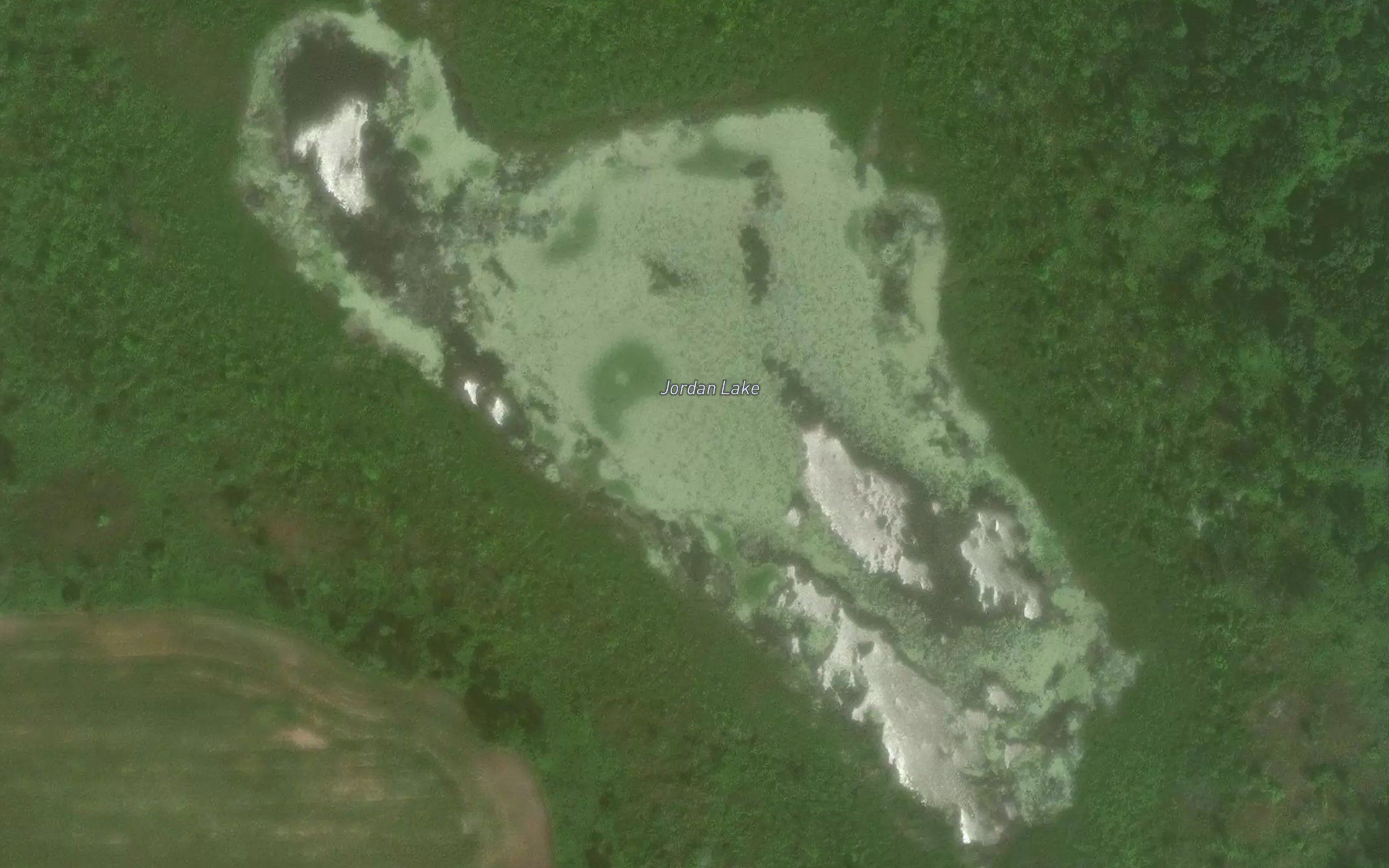 Jordan Lake