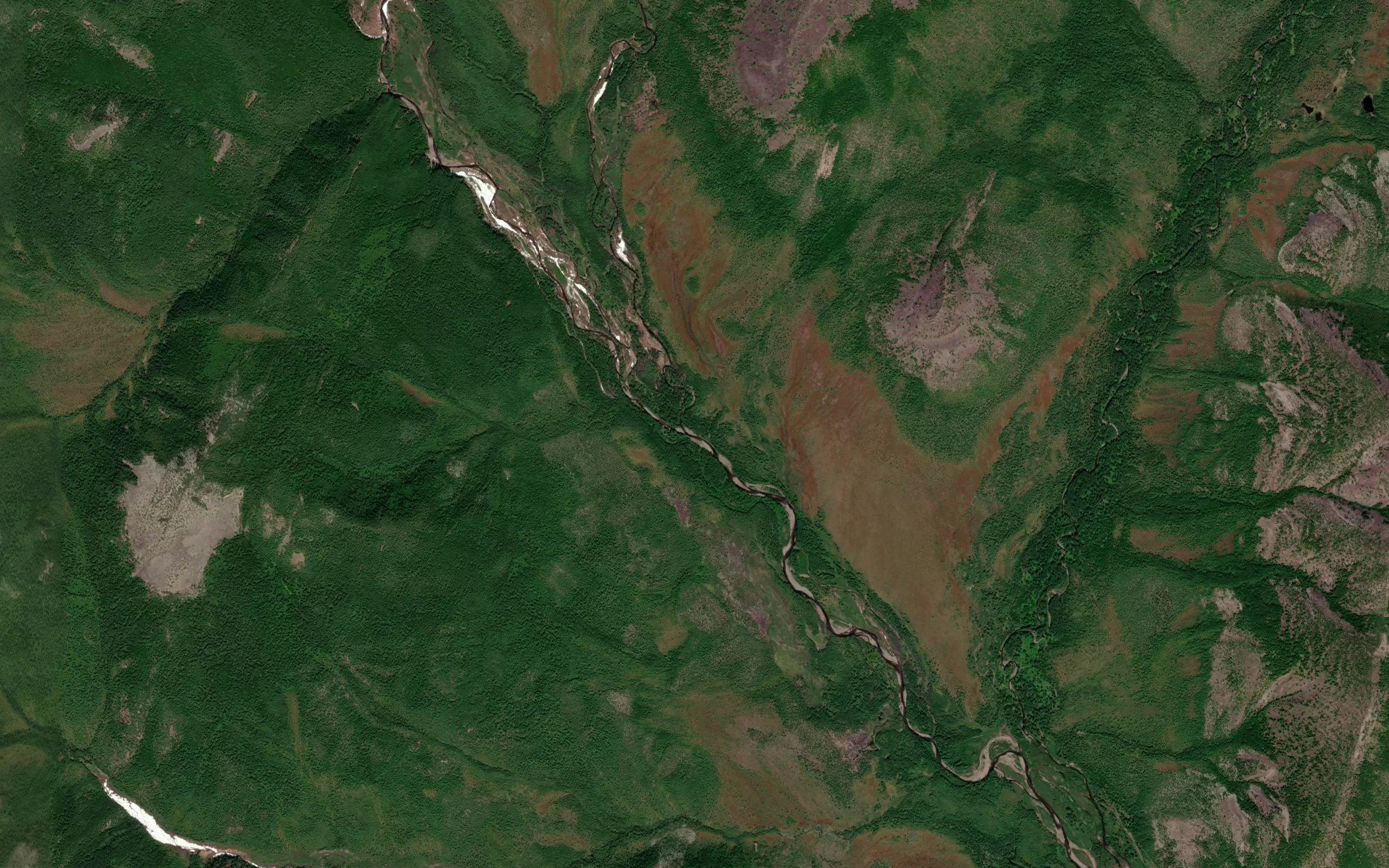 Kurendya