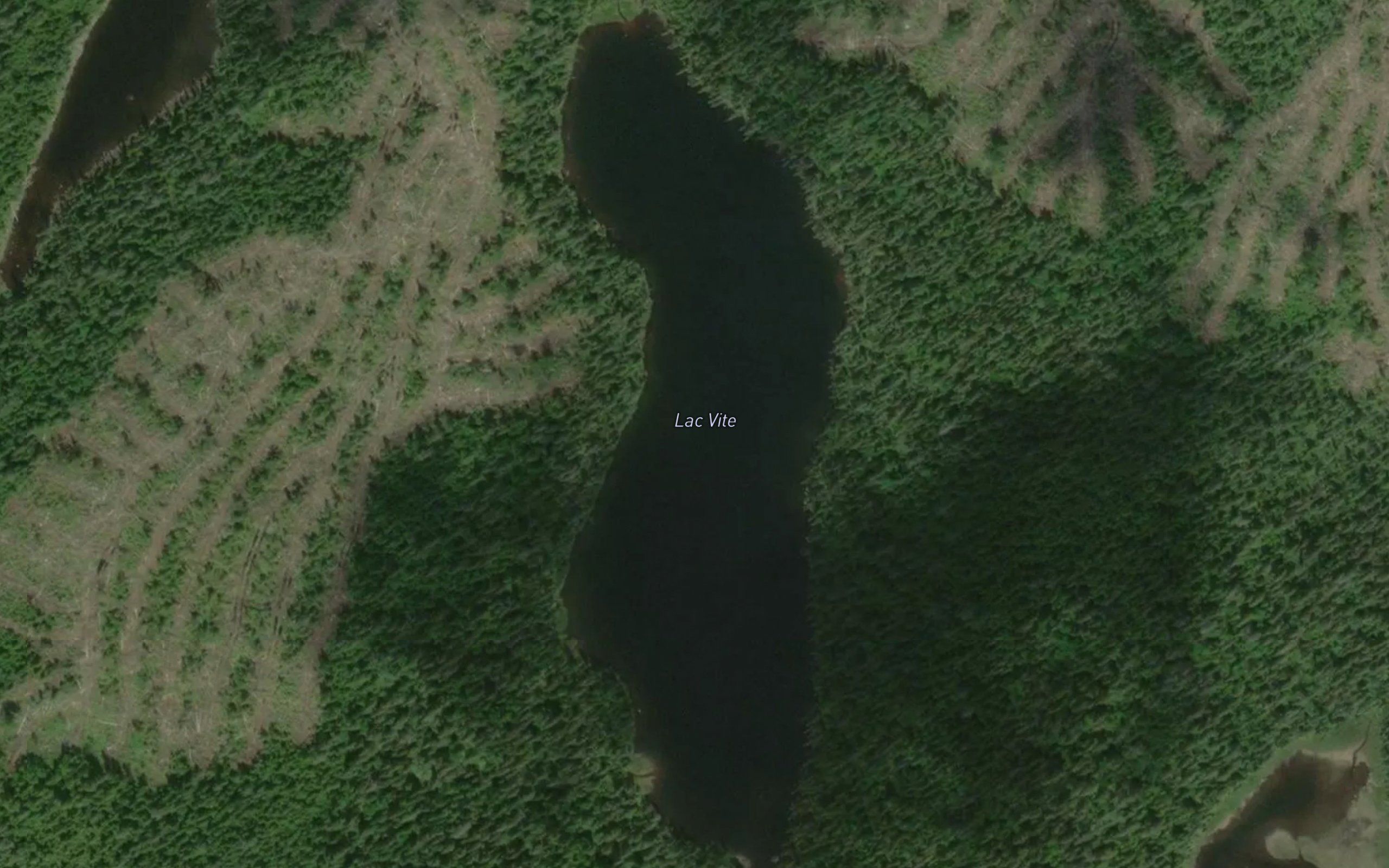 Lac Vite
