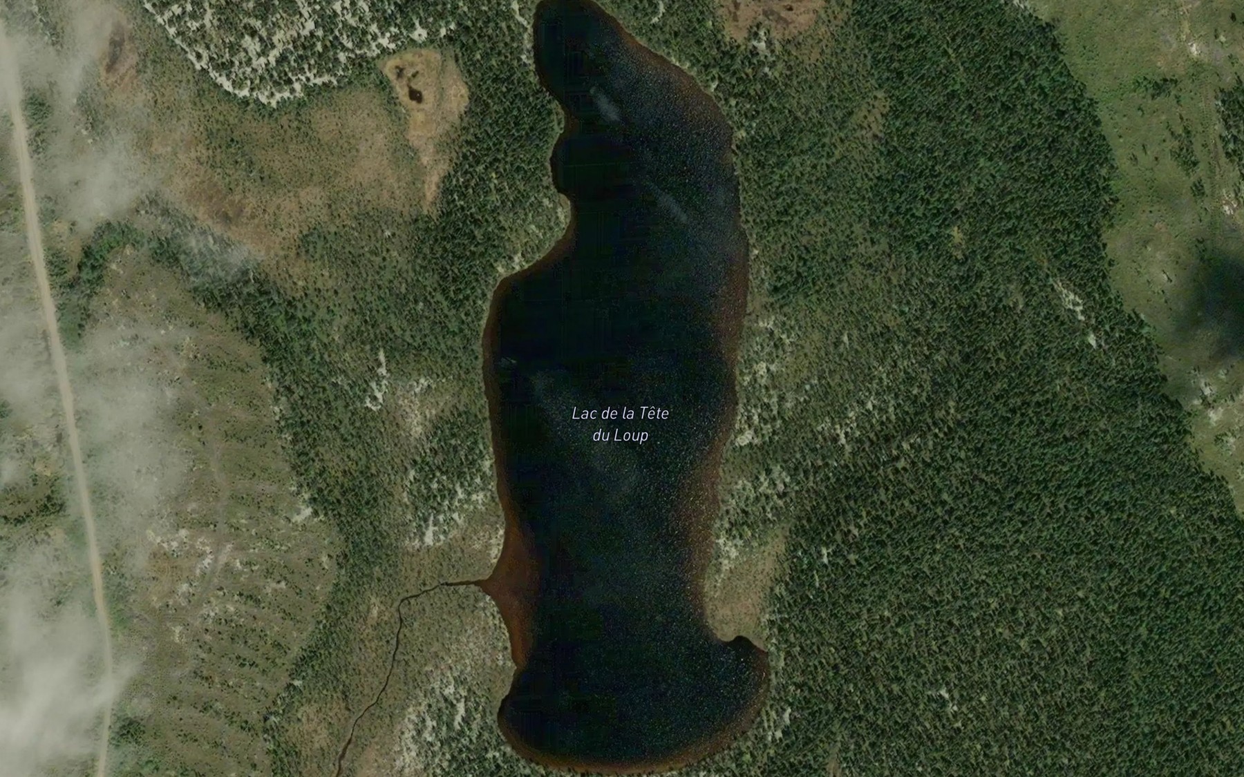 Satellite map of the Lac de la Tete du Loup