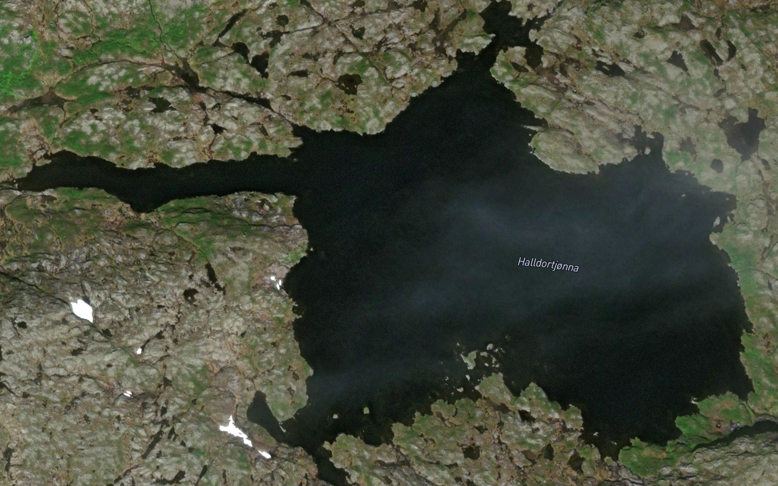Halldortjorna