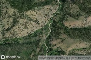 South Fork Camas Creek