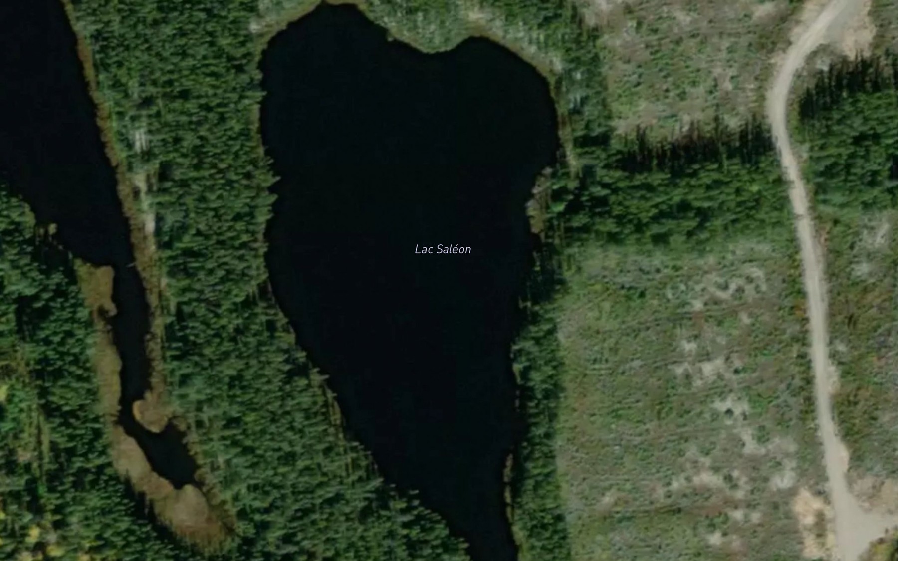 Satellite map of the Lac Saleon