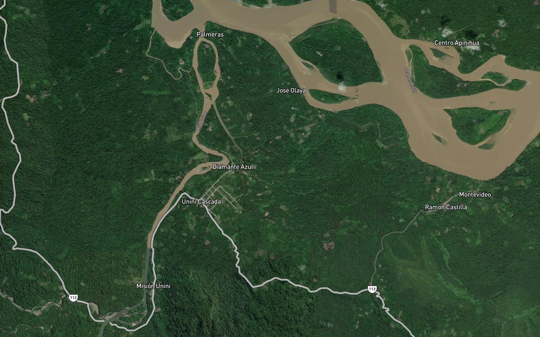 Satellite map of the Rio Inchipachiari