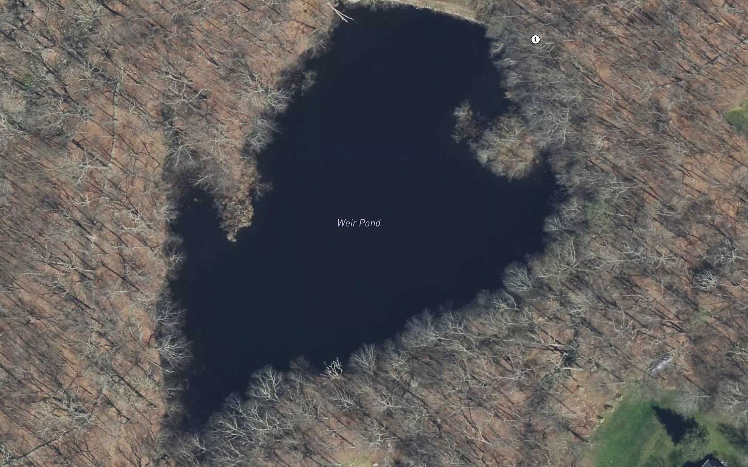 Weir Pond