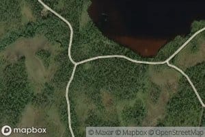 Kivilompolonoja