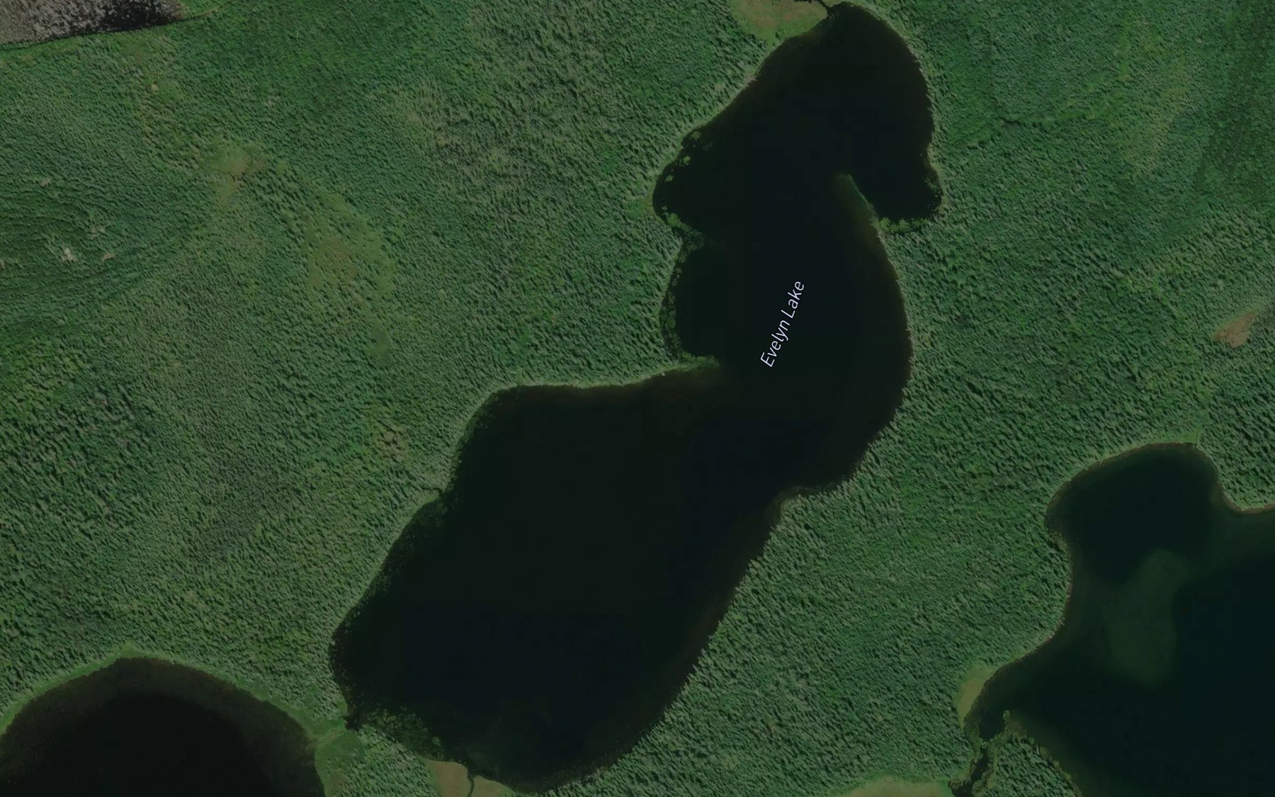 Satellite map of the Evelyn Lake