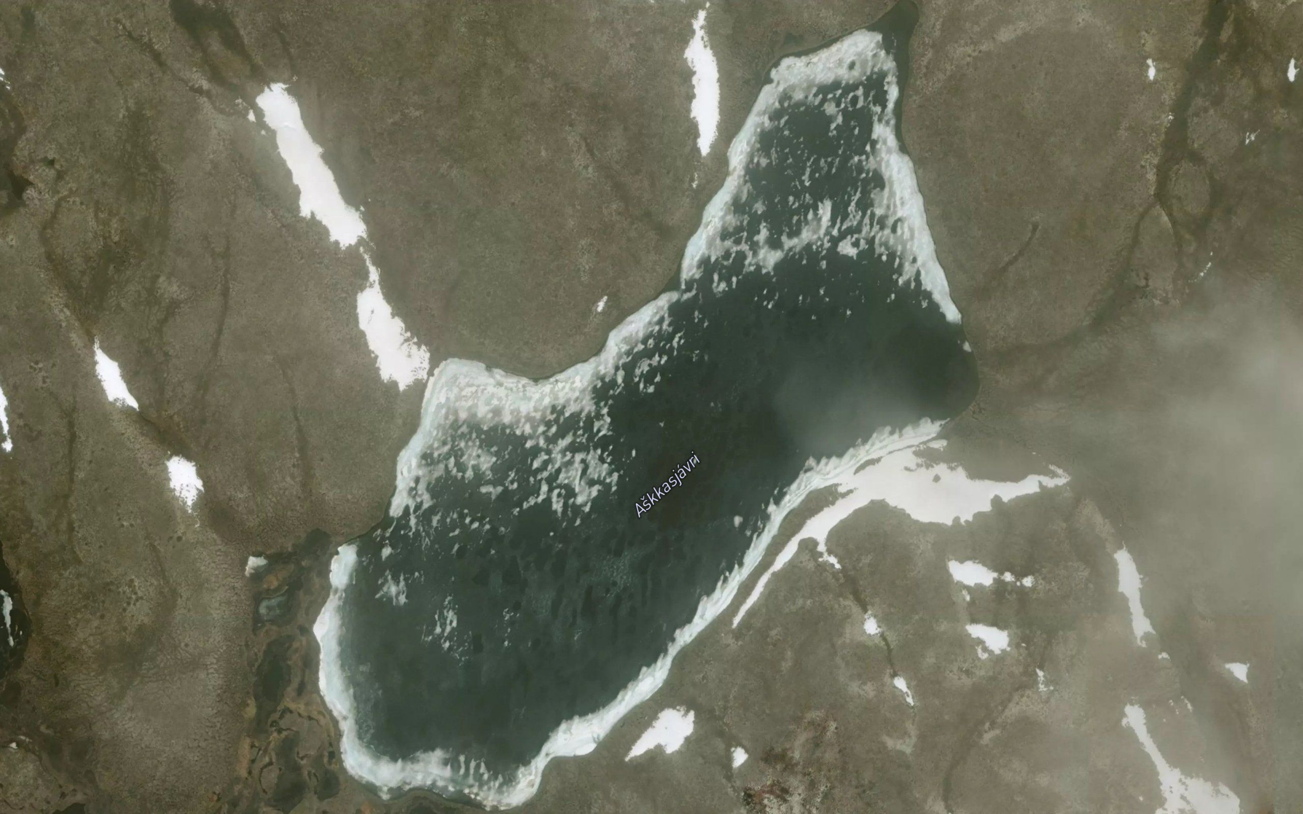 Askasjavri