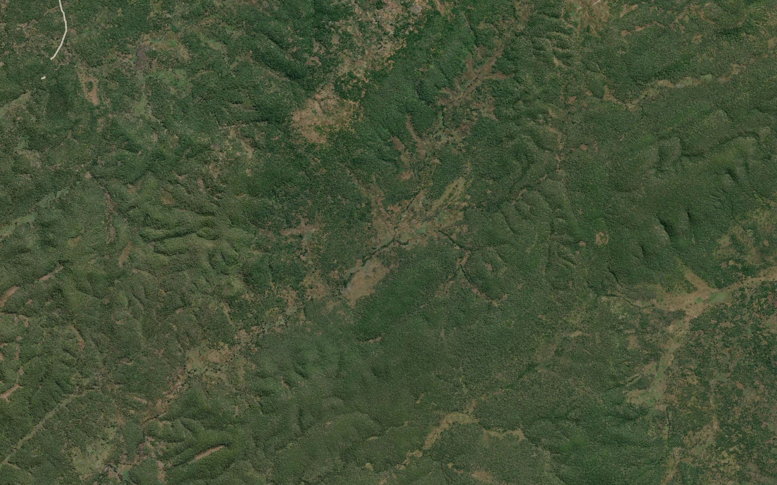 Kikongwa
