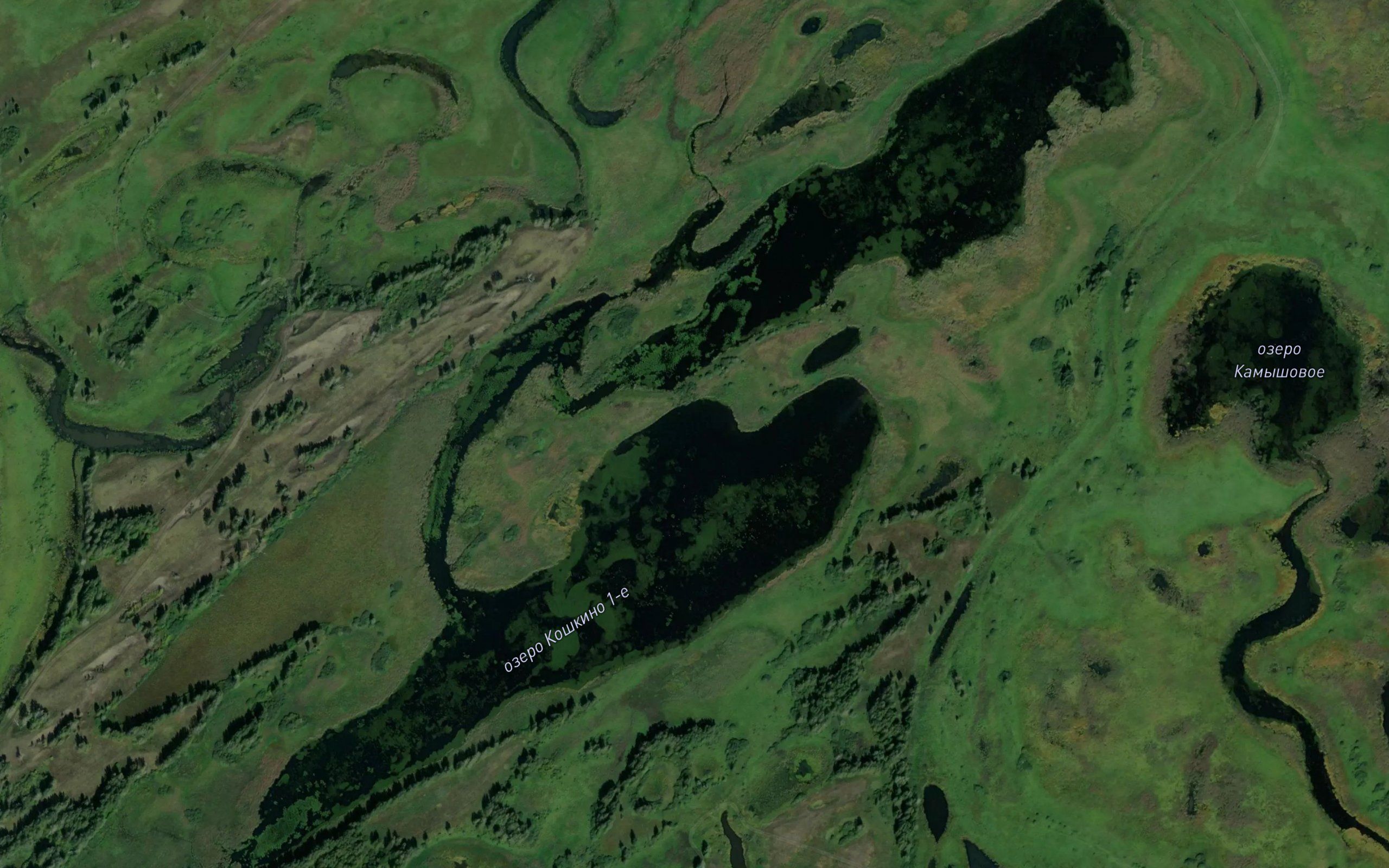 Ozero Koshkino