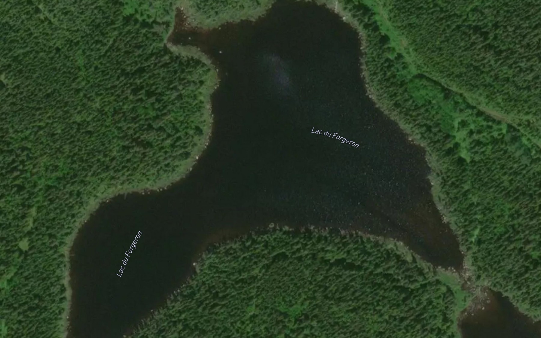Satellite map of the Lac du Forgeron